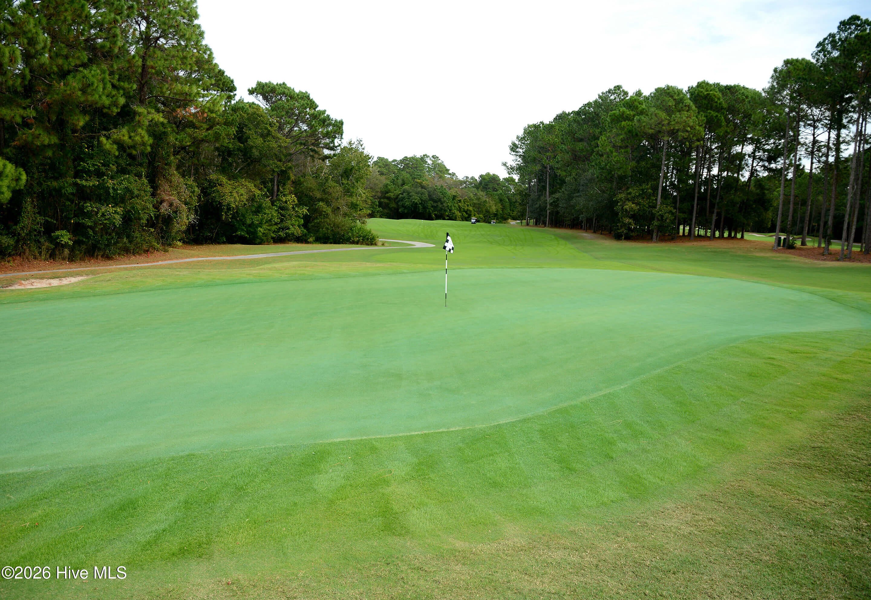 100555915 | Photo 65