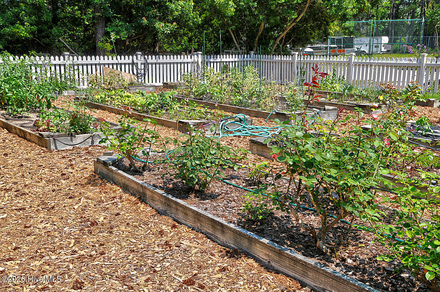 100566993 | Photo 60