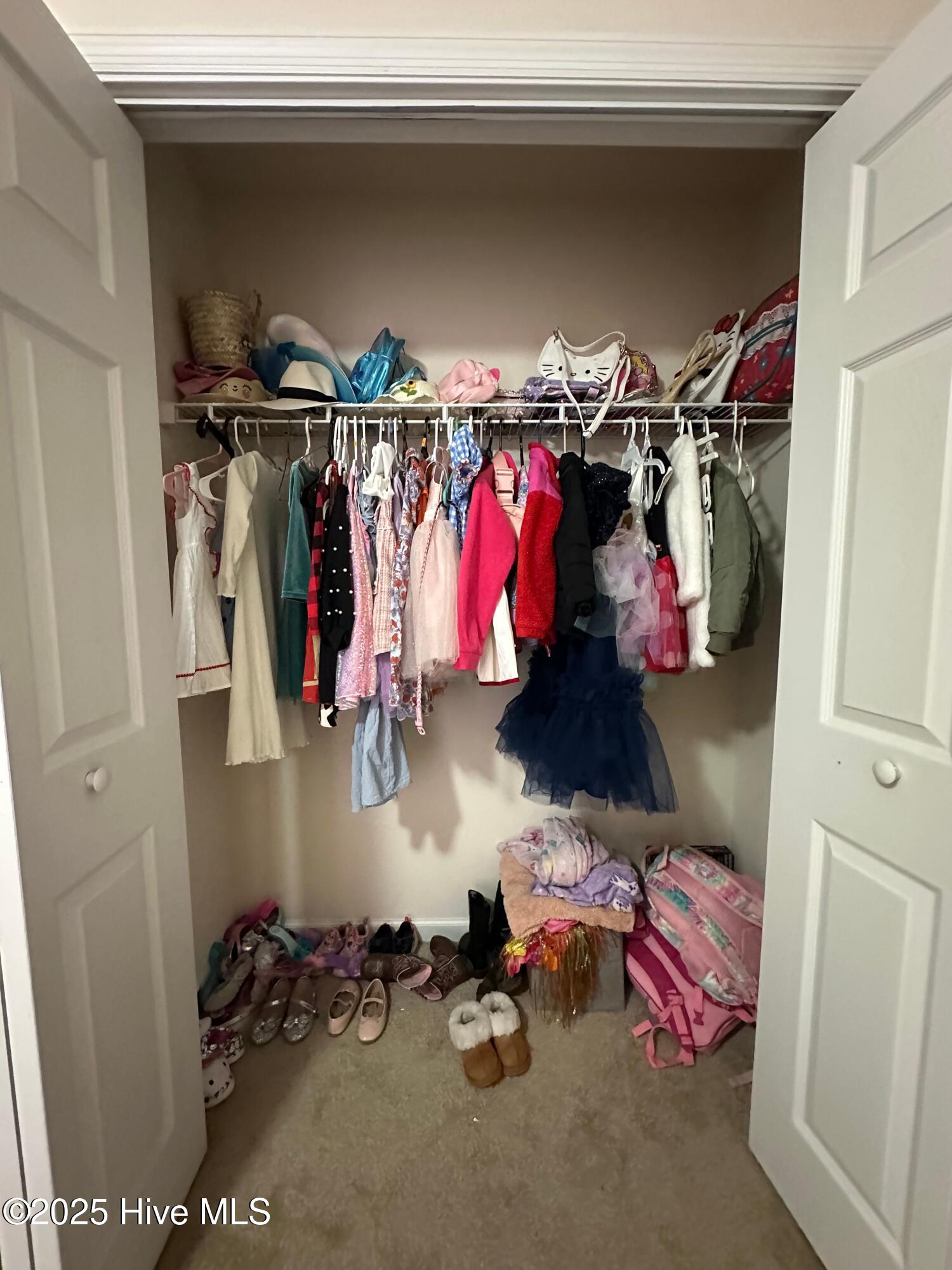 100545130 | Photo 23