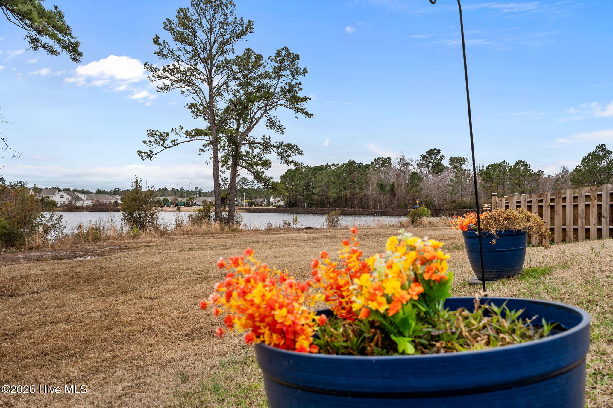 100555354 | Photo 53