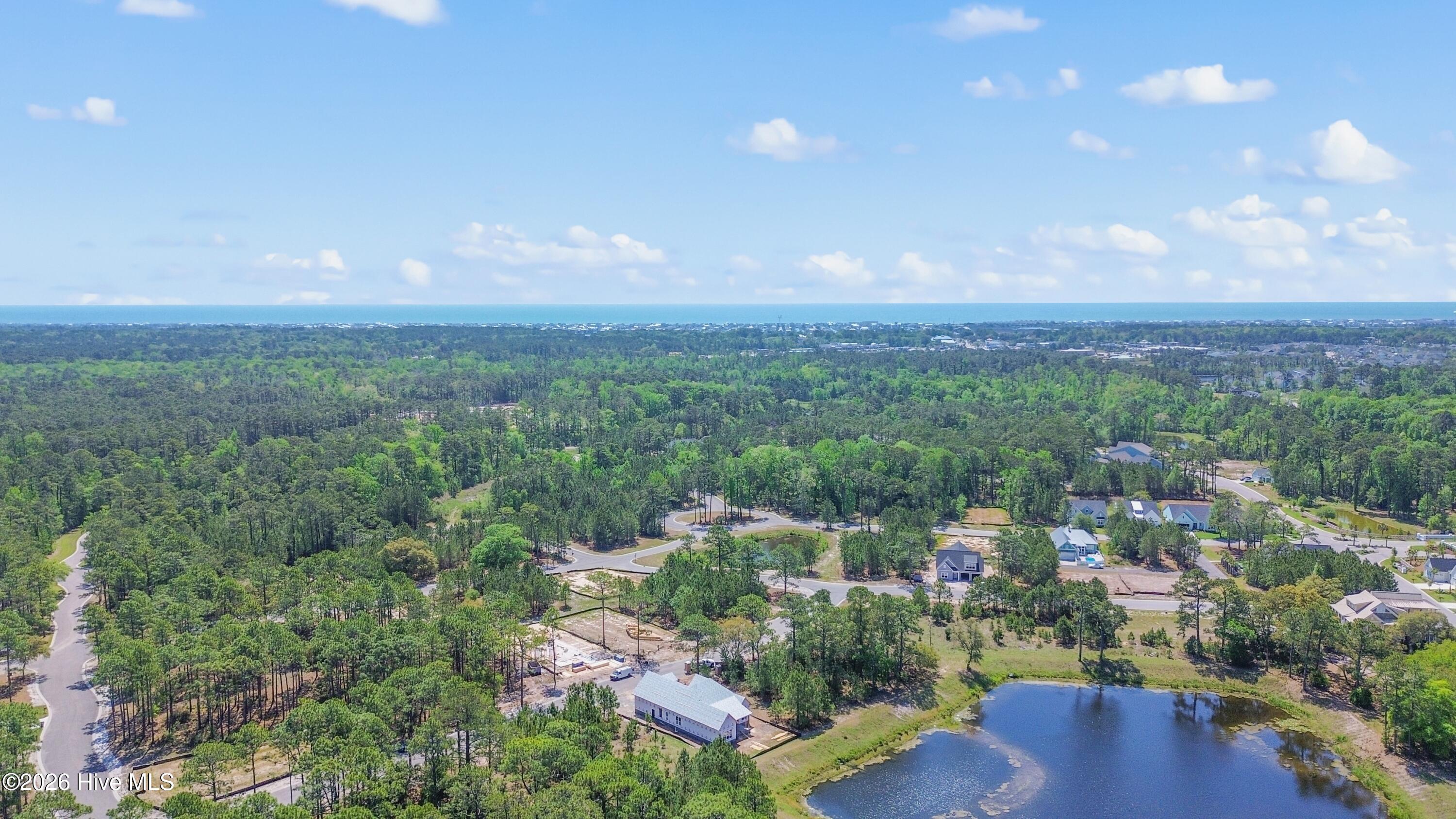 100555339 | Photo 41