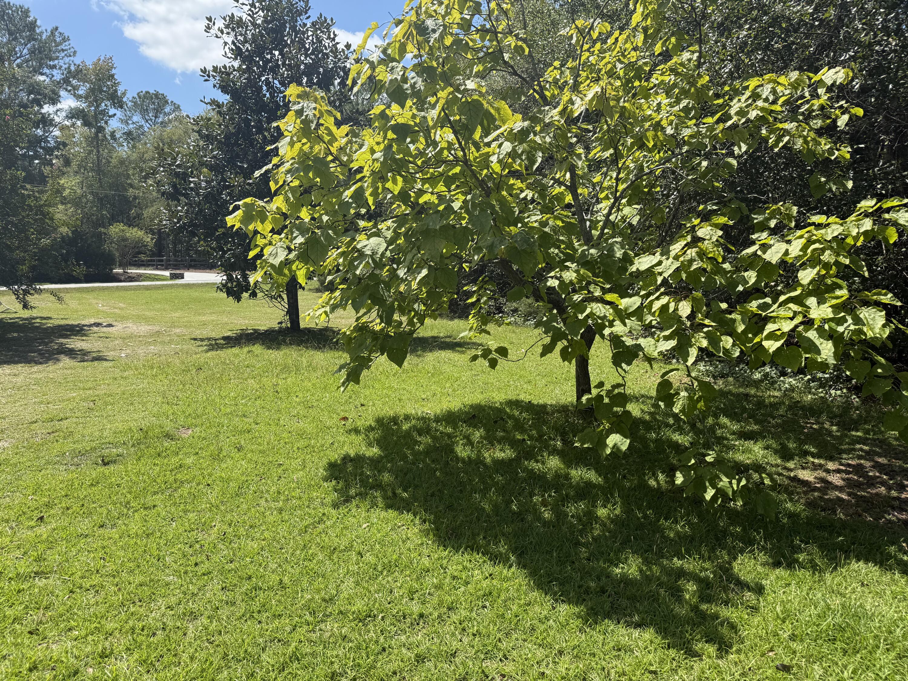 5601 Burks Mountain Road UNIT 012, Appling, GA, 30802