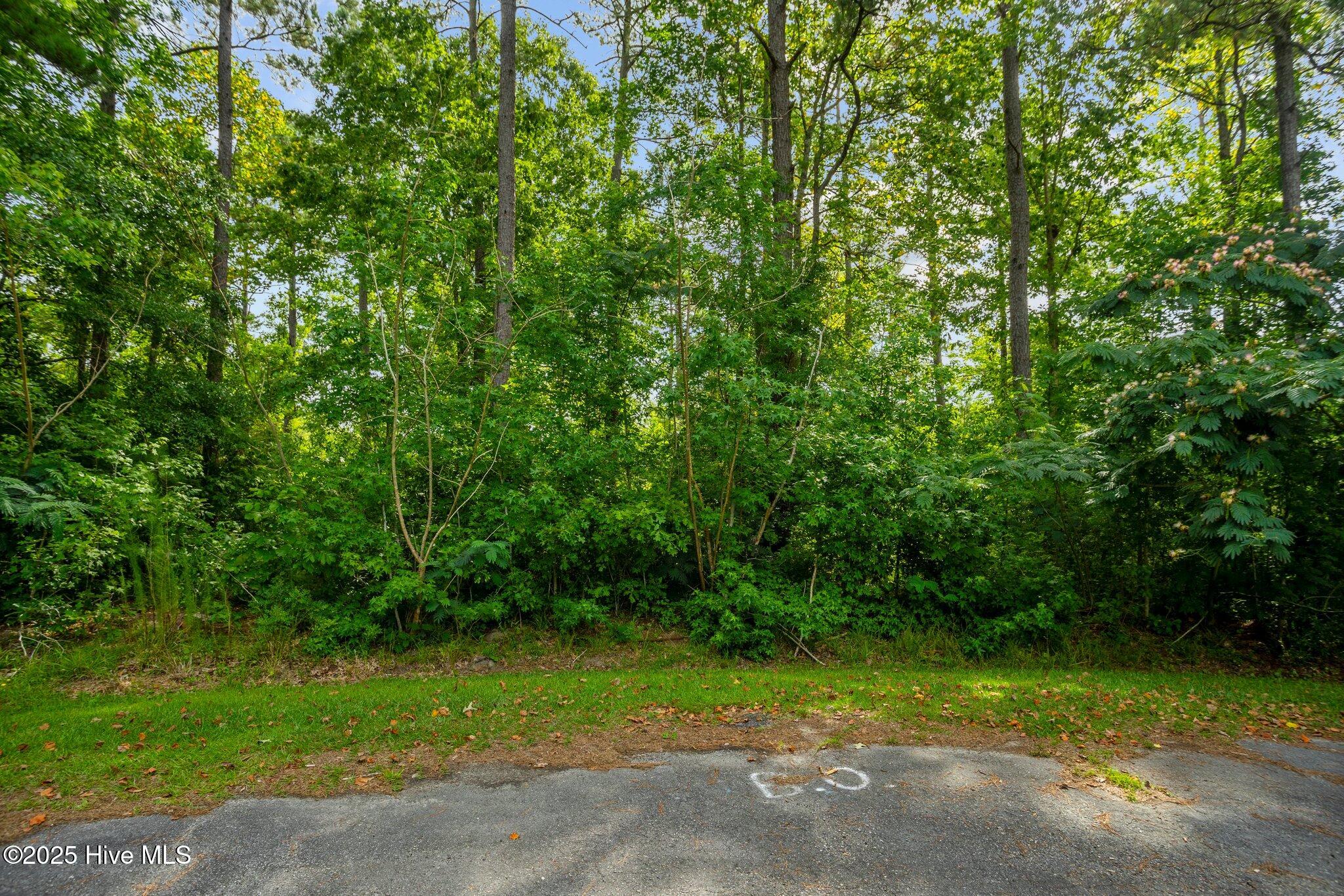 178 Marsh Run, Oriental, NC, 28571