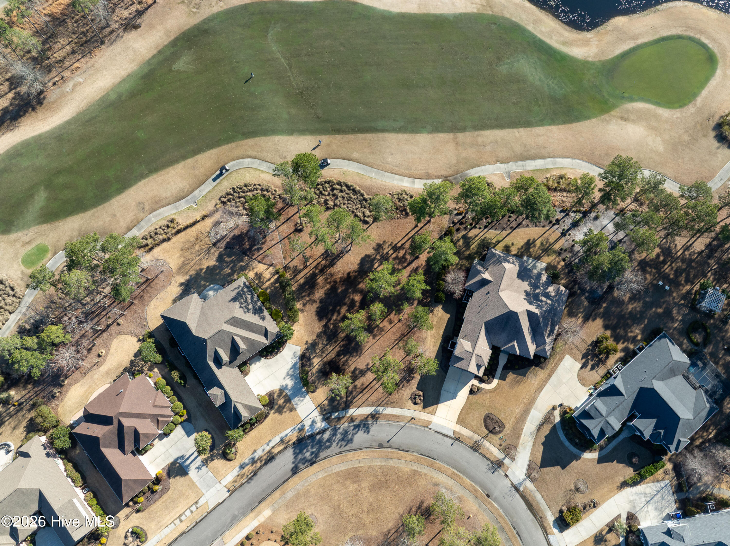 100557146 | Photo 15