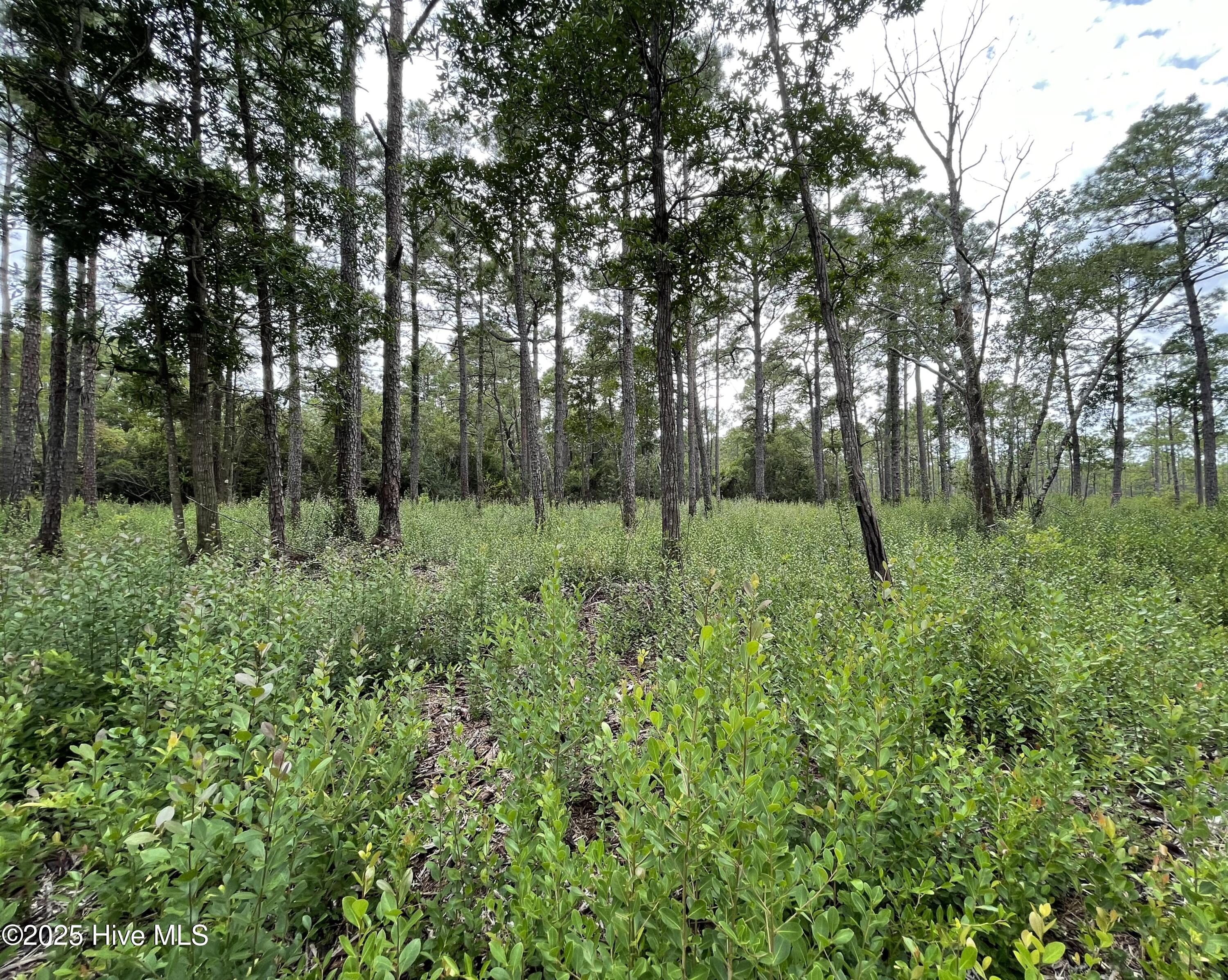 100527891 | Photo 11