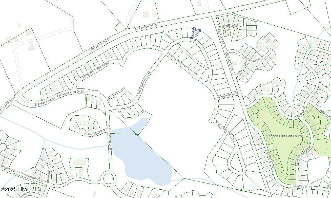 100547602 | Photo 22