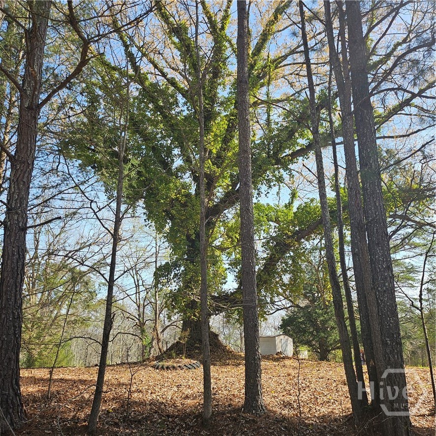 Homes for sale in Watkinsville, GA | 6291 Colham Ferry Rd, Watkinsville, GA 30677 | MLS# CL351380