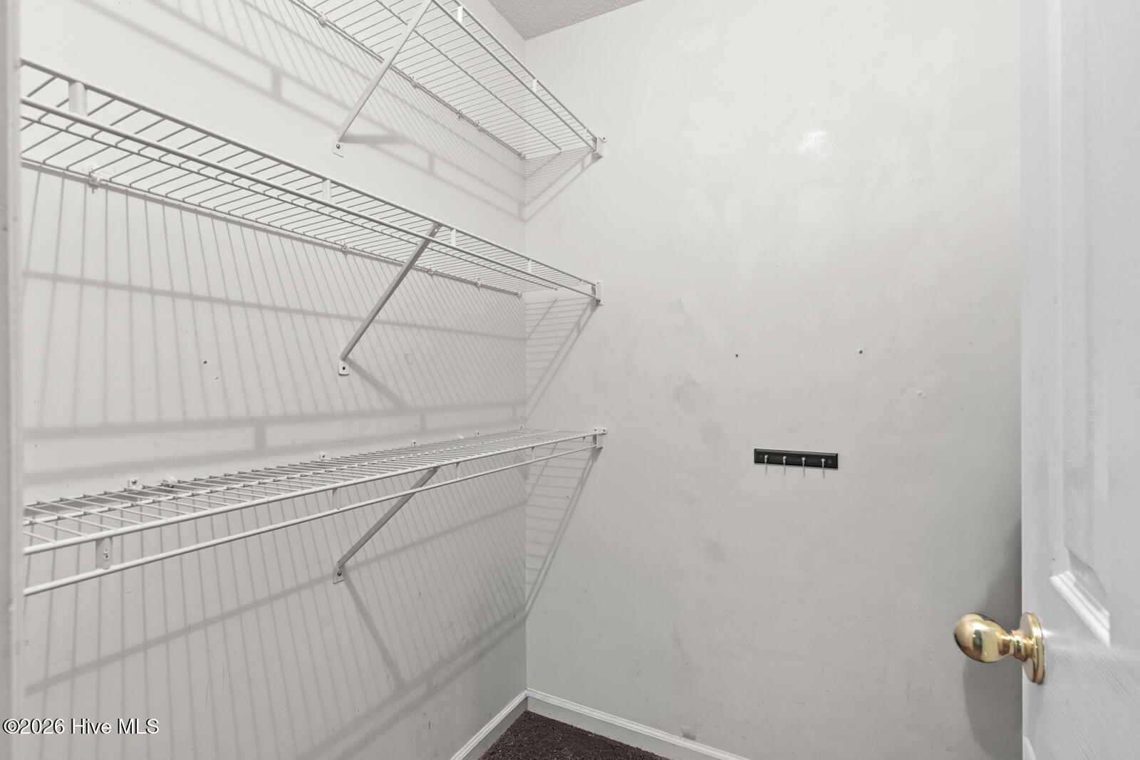 100565866 | Photo 13