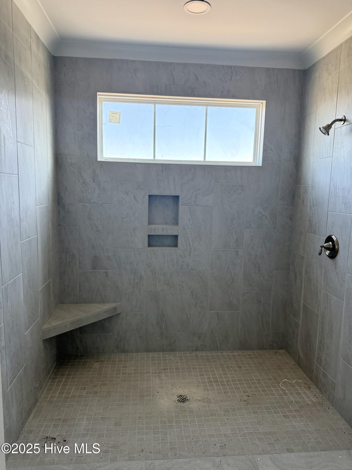 100496127 | Photo 16