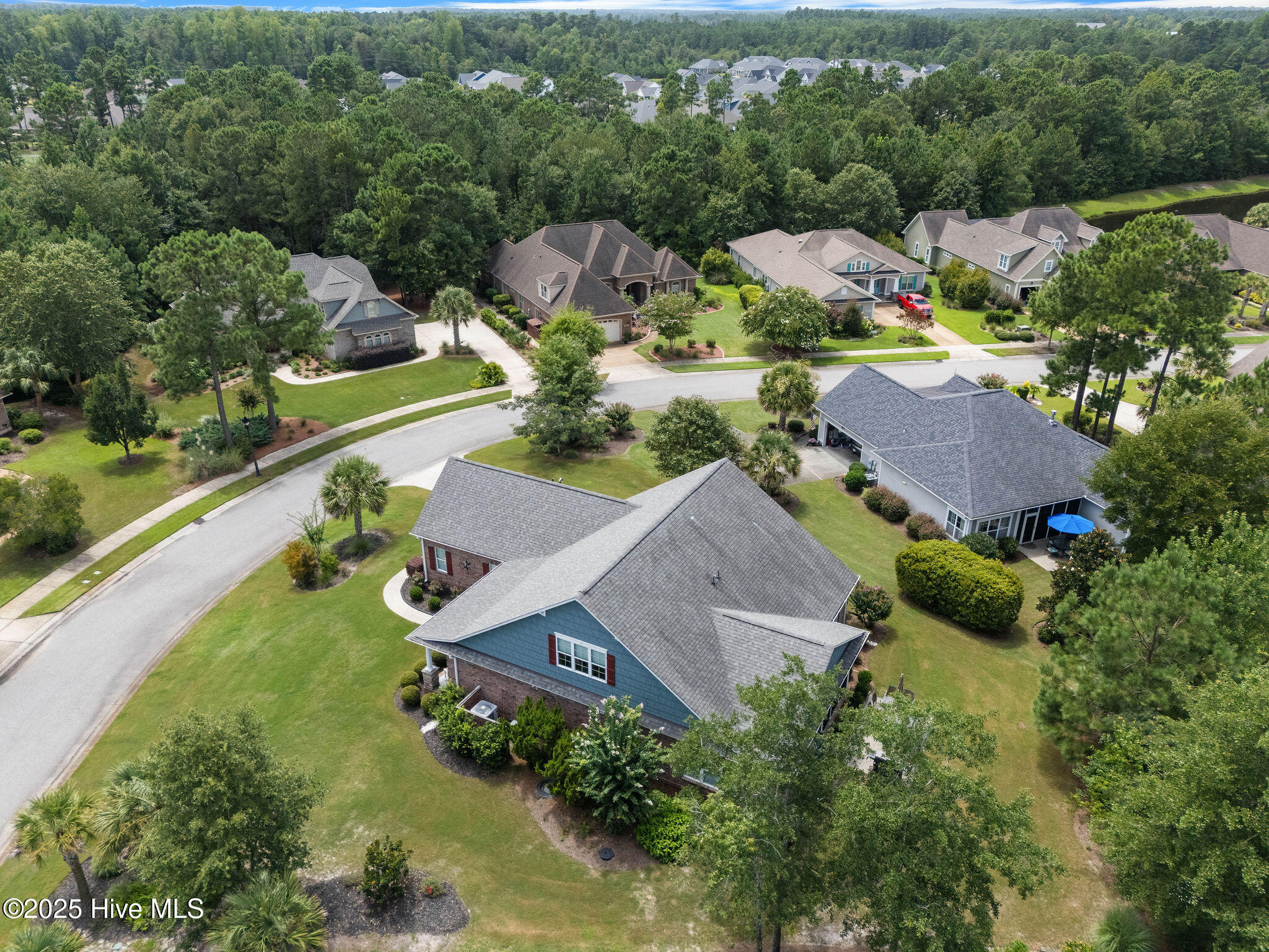 100524578 | Photo 55