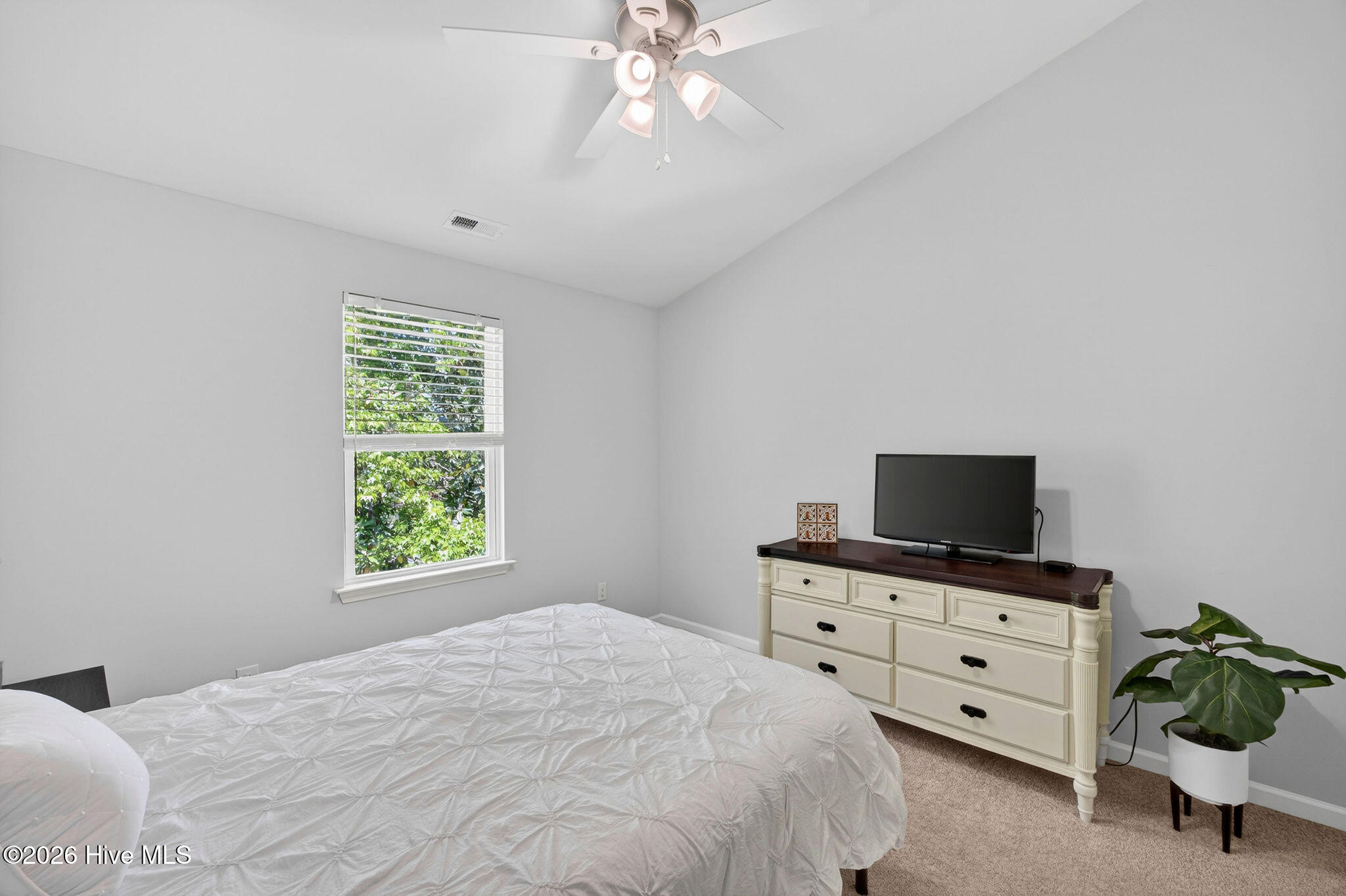 100570180 | Photo 33