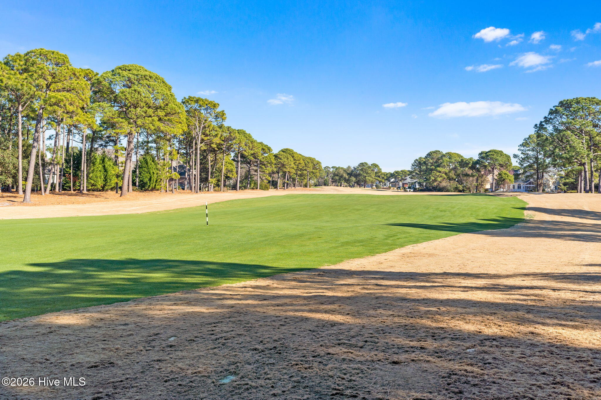 100548077 | Photo 64