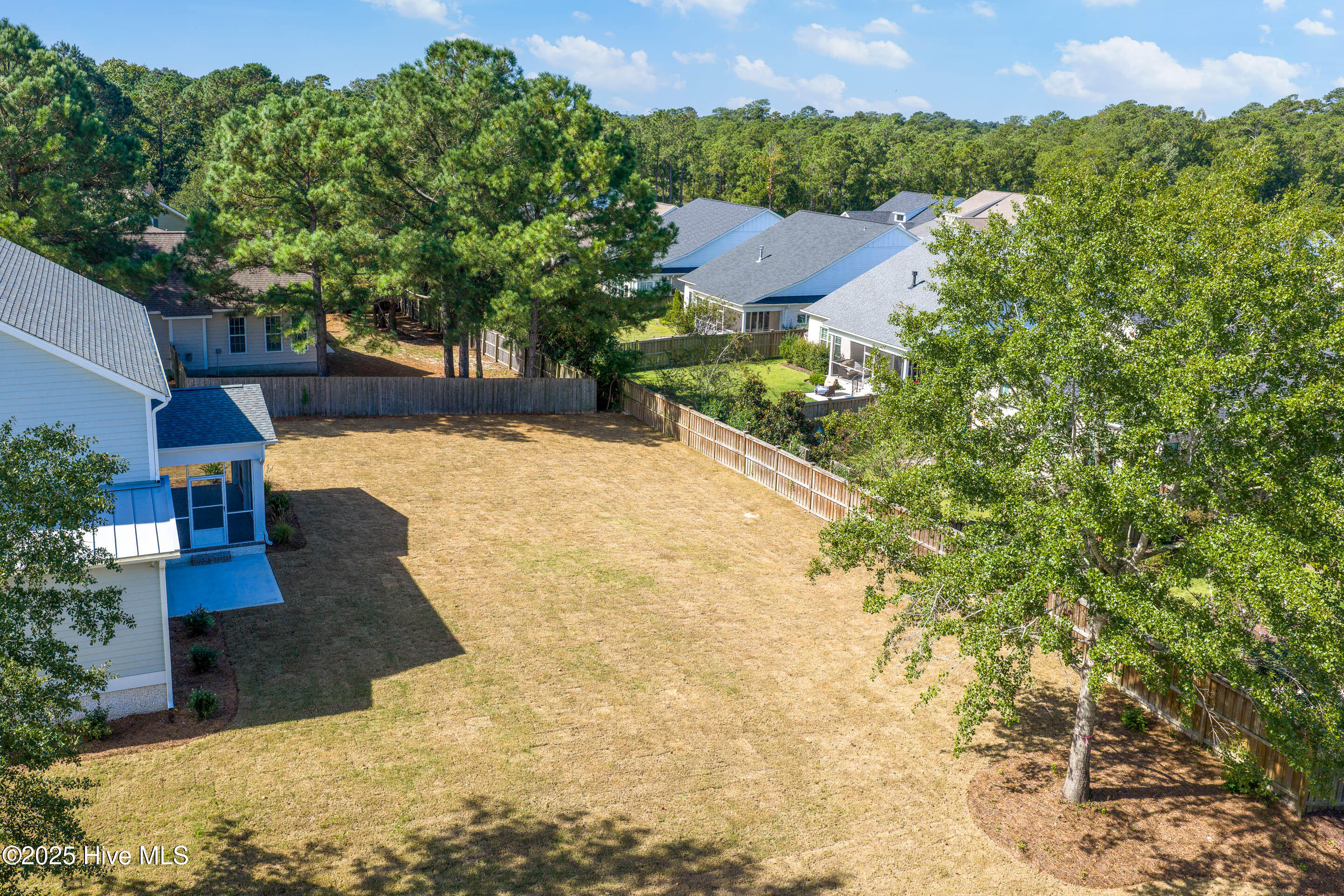 100521793 | Photo 43