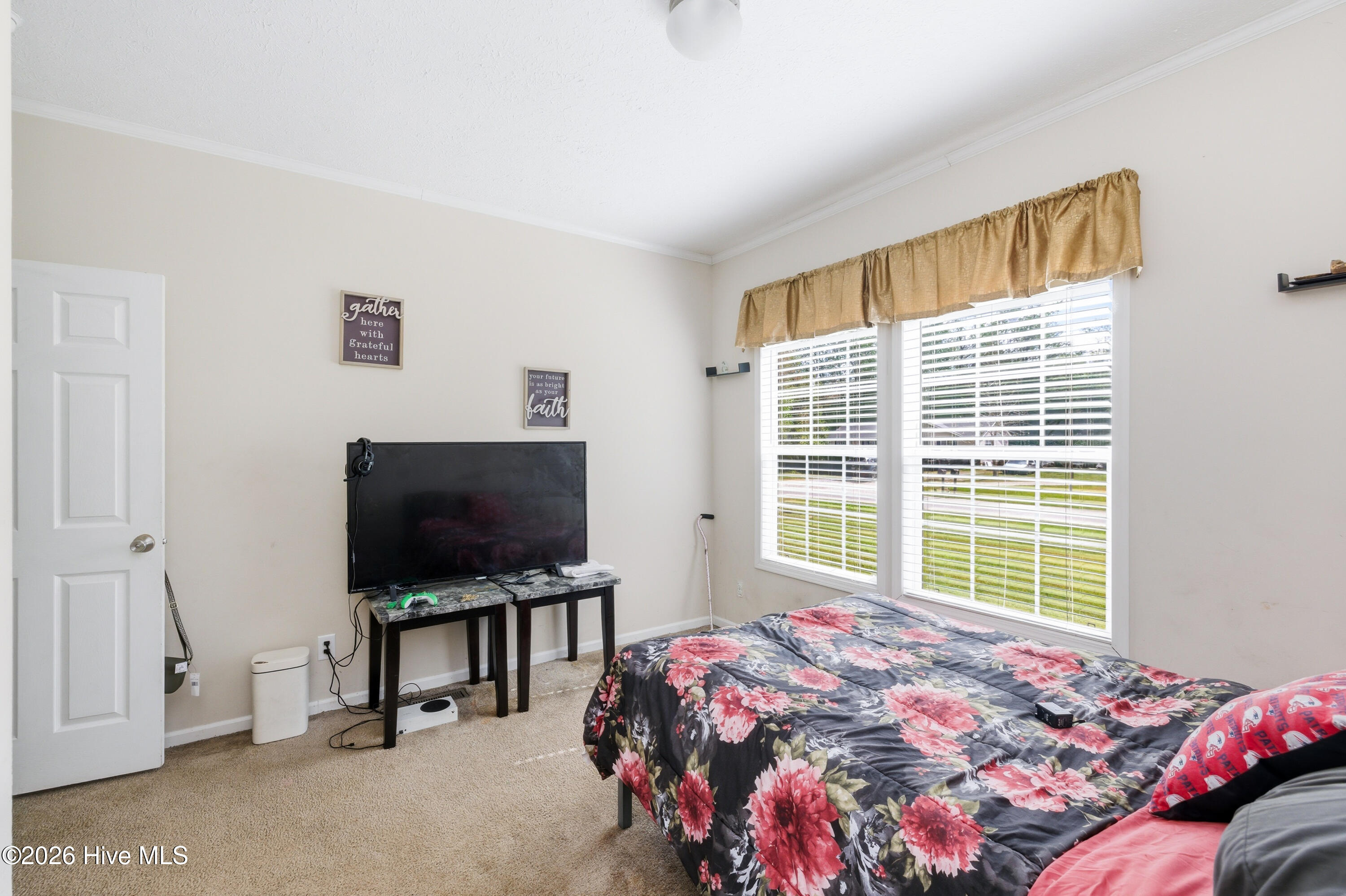 100565815 | Photo 19