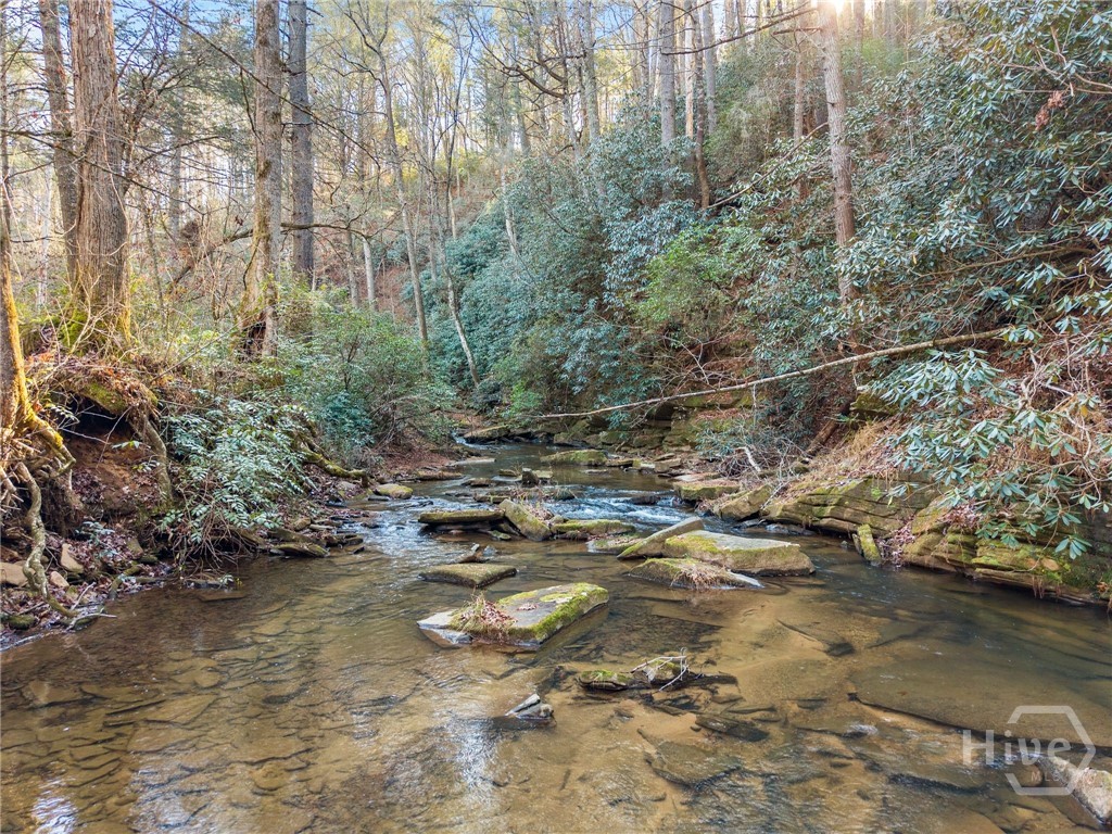 0 Shoal Creek, Clarkesville, Georgia, 0 ,Land,For sale,Shoal Creek,SA345546