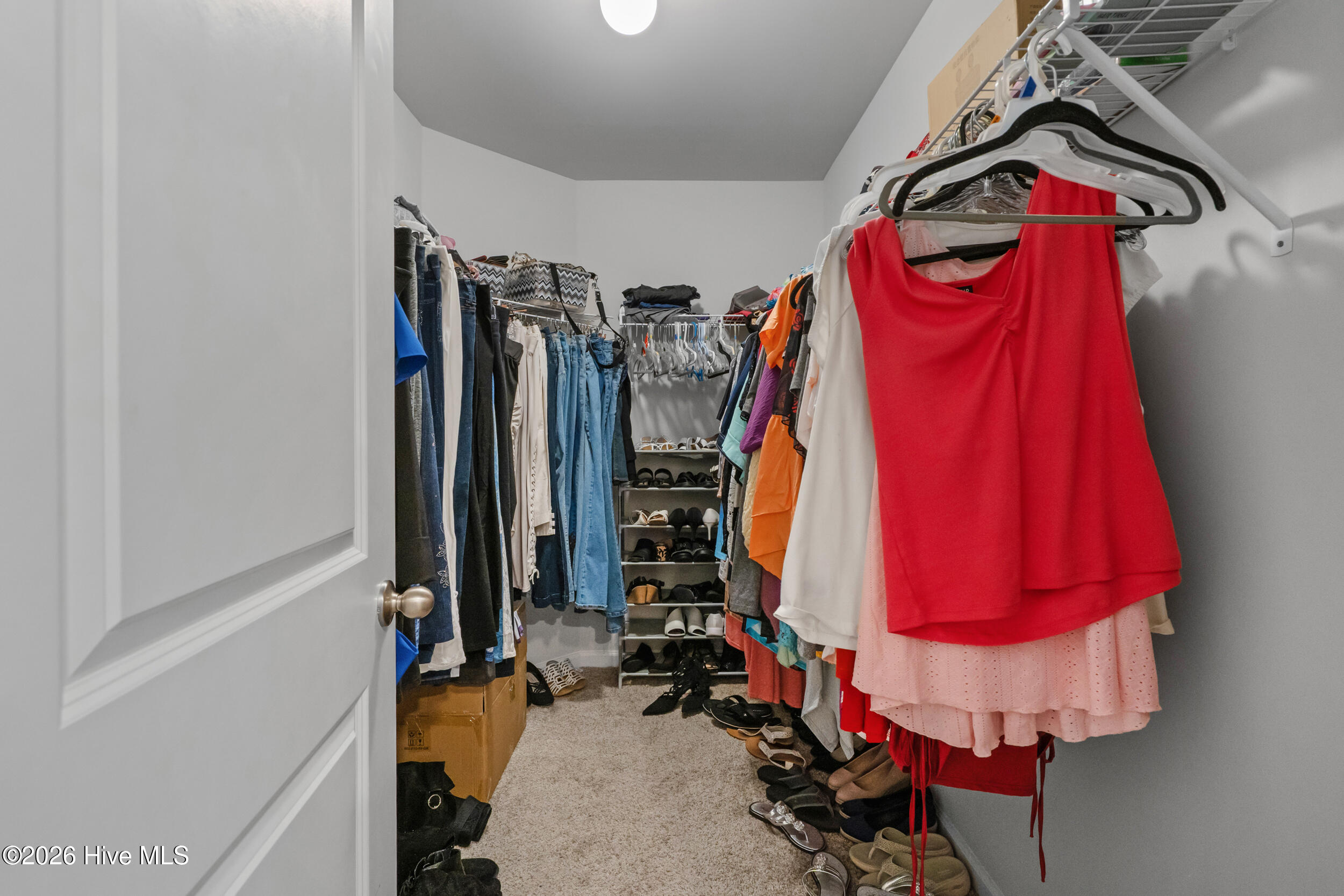 100563374 | Photo 22