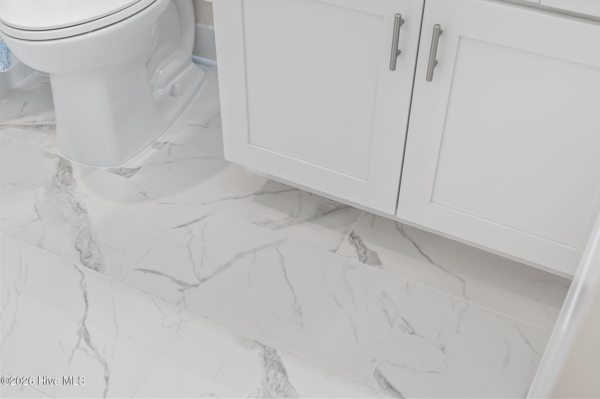 100558259 | Photo 26