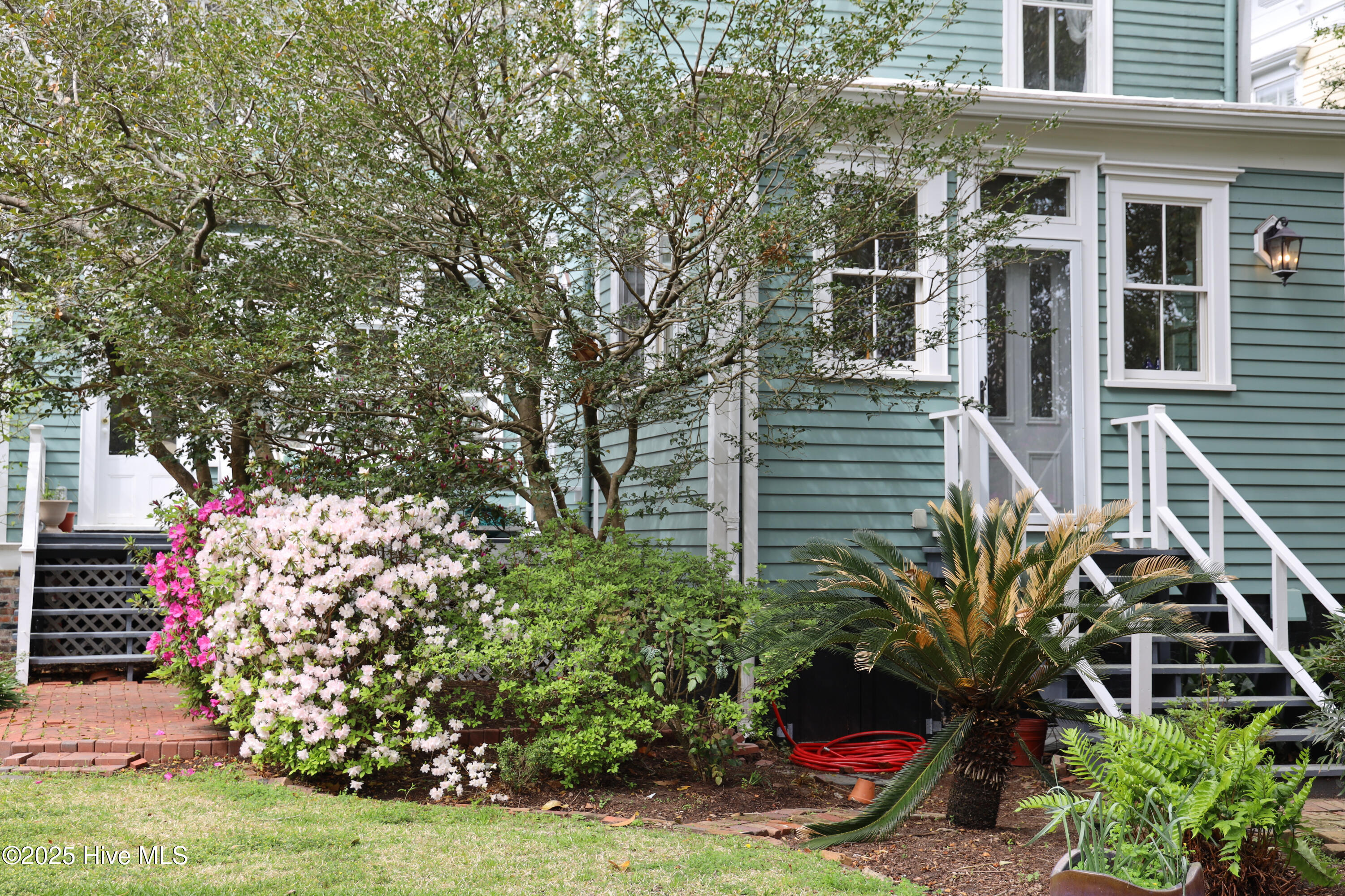 100501936 | Photo 84