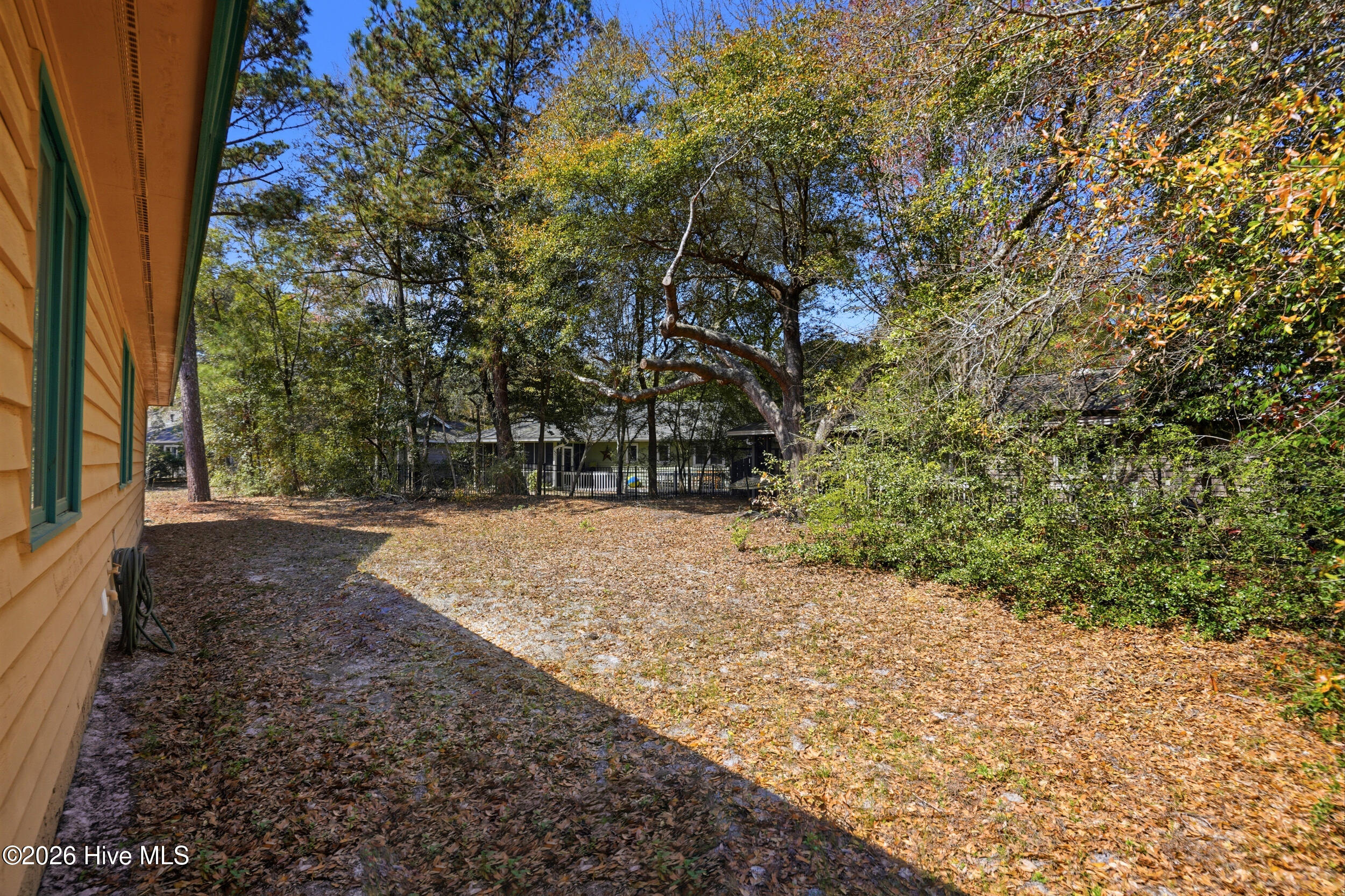 100564154 | Photo 43