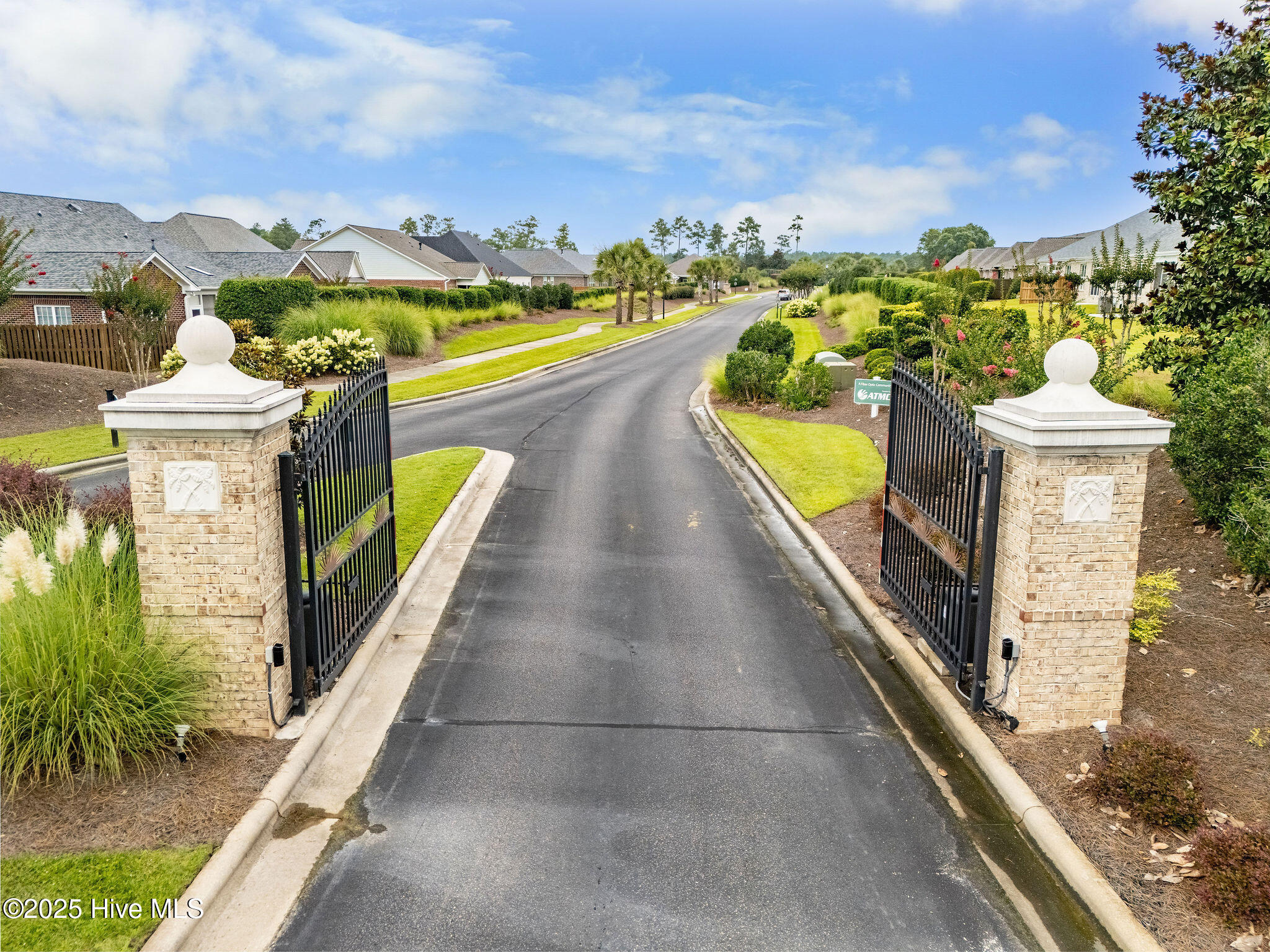 100524928 | Photo 50