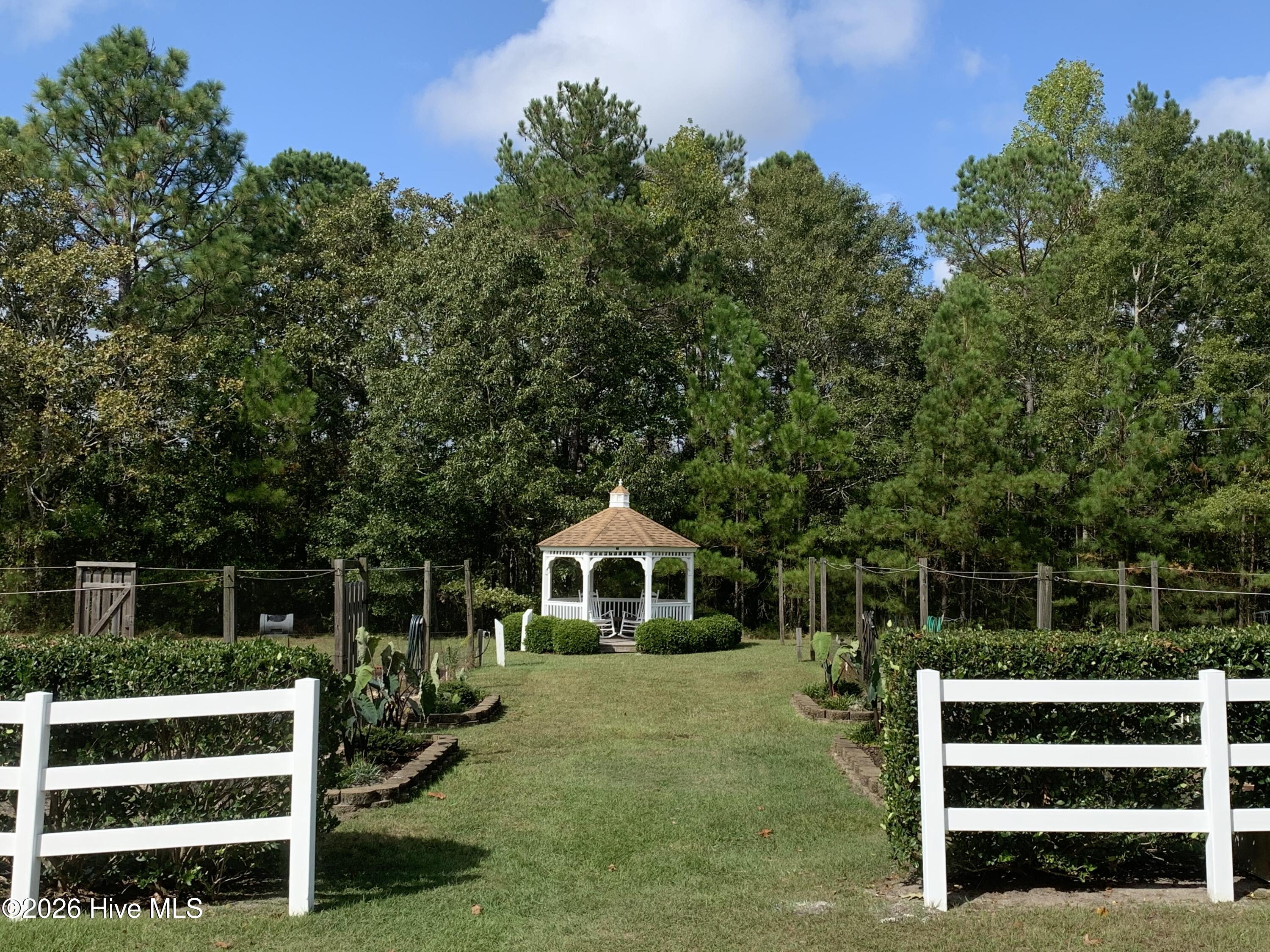 100555834 | Photo 141