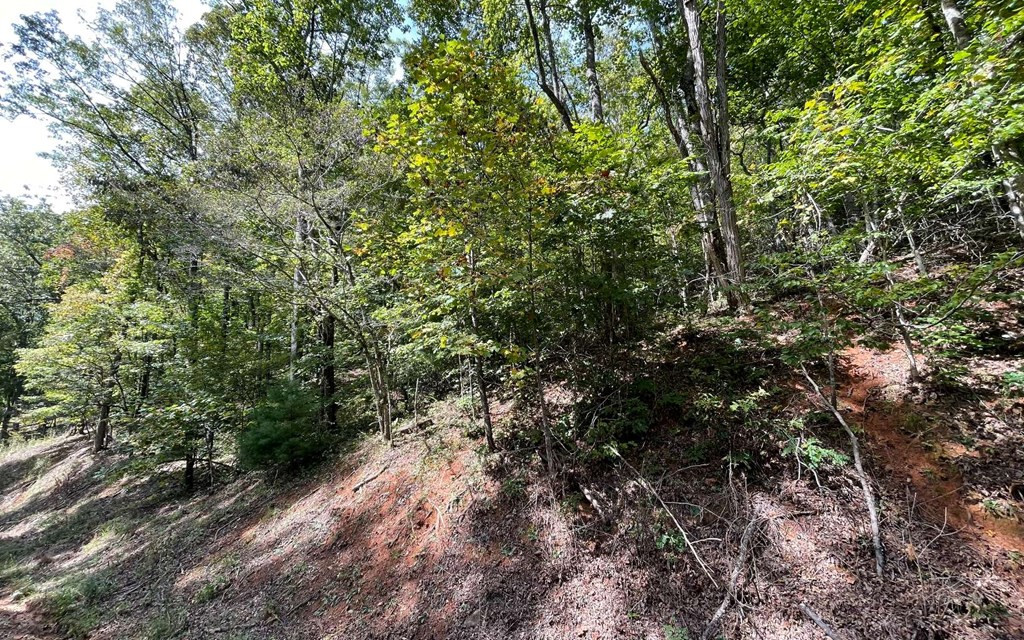 Exterior photo of Lot 31 Nelson Ridge, Hayesville, NC 28904. MLS: 98543659