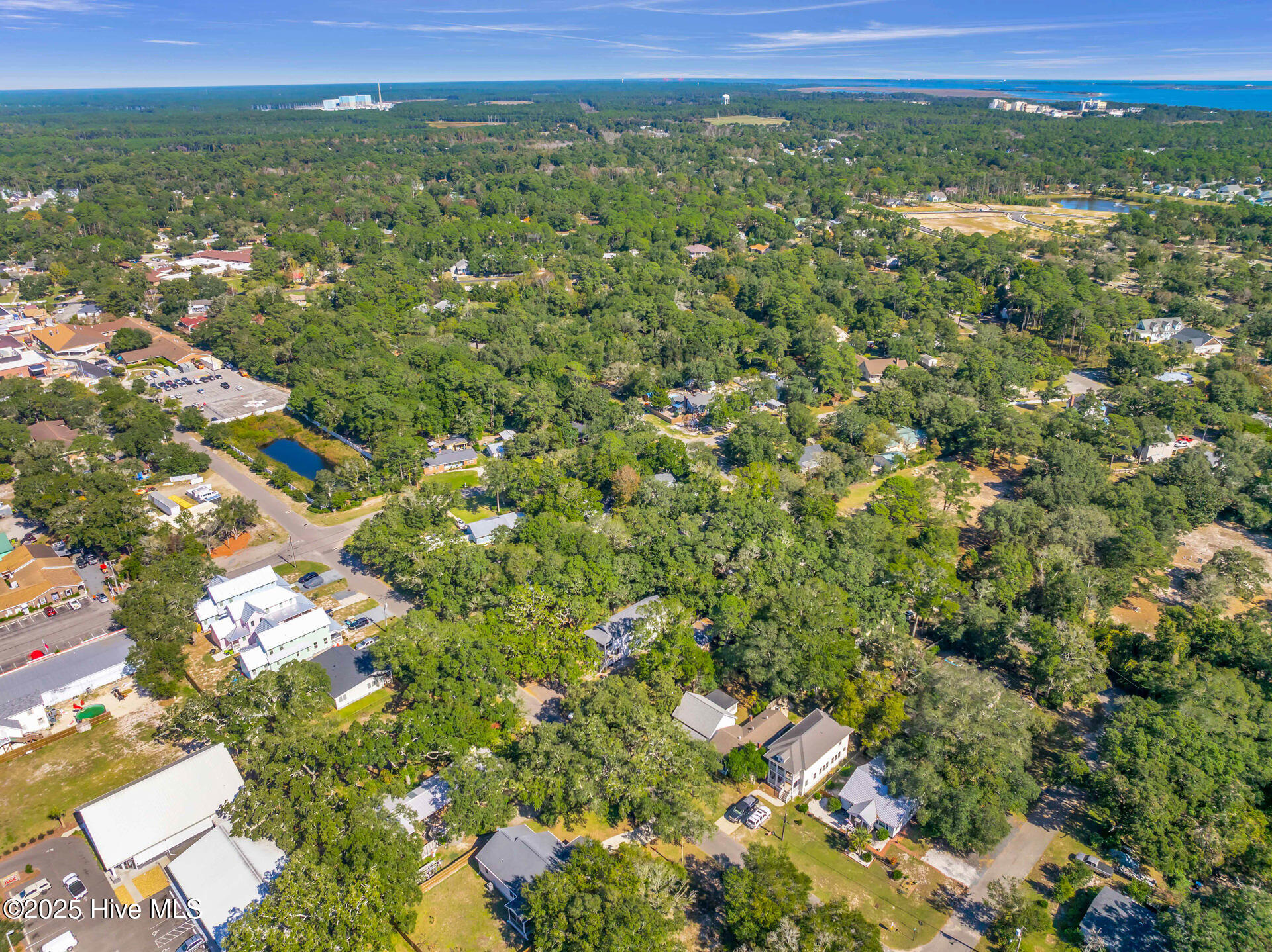 100538274 | Photo 48