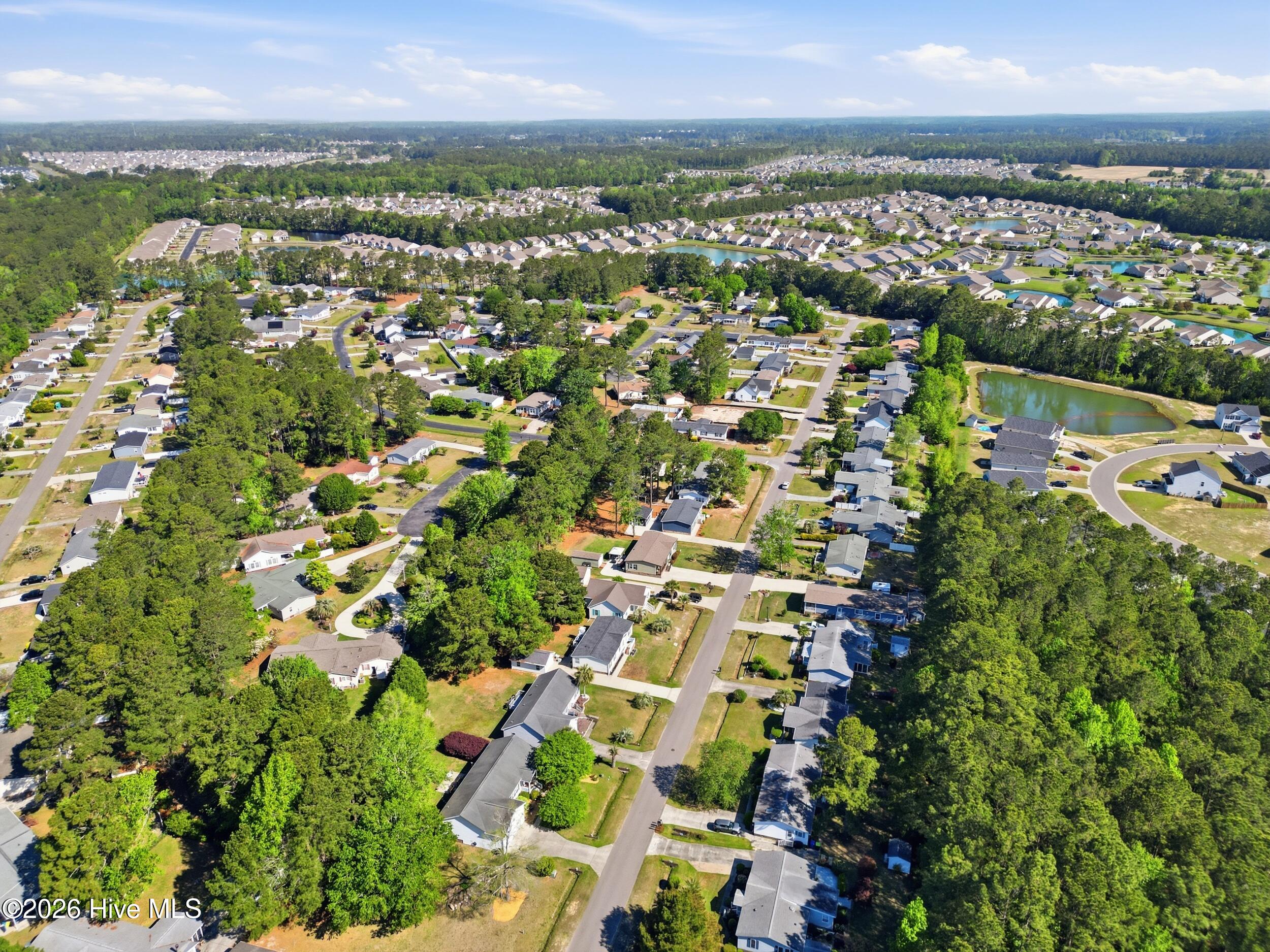 100567202 | Photo 39