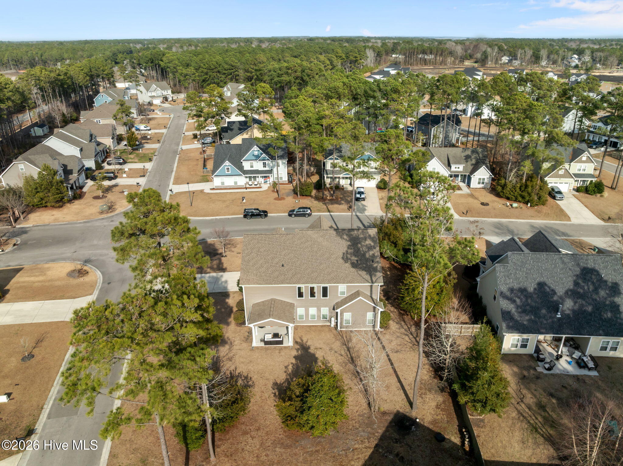 100556667 | Photo 50