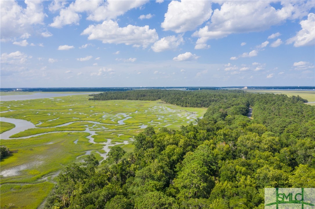 41 Gray Heron, Savannah, Georgia, 0 ,Land,For sale,Gray Heron,SA310004 41 Gray Heron, Savannah, Georgia, 0 ,Land,For sale,Gray Heron,SA310004