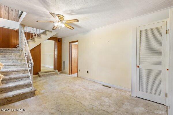 100532862 | Photo 13