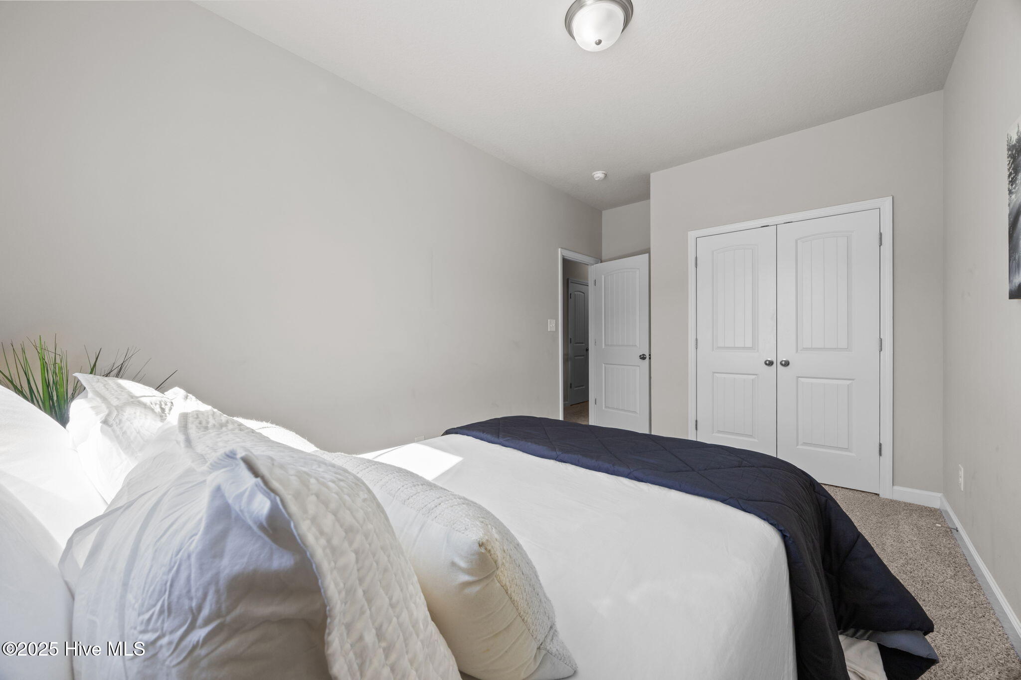 100532531 | Photo 22