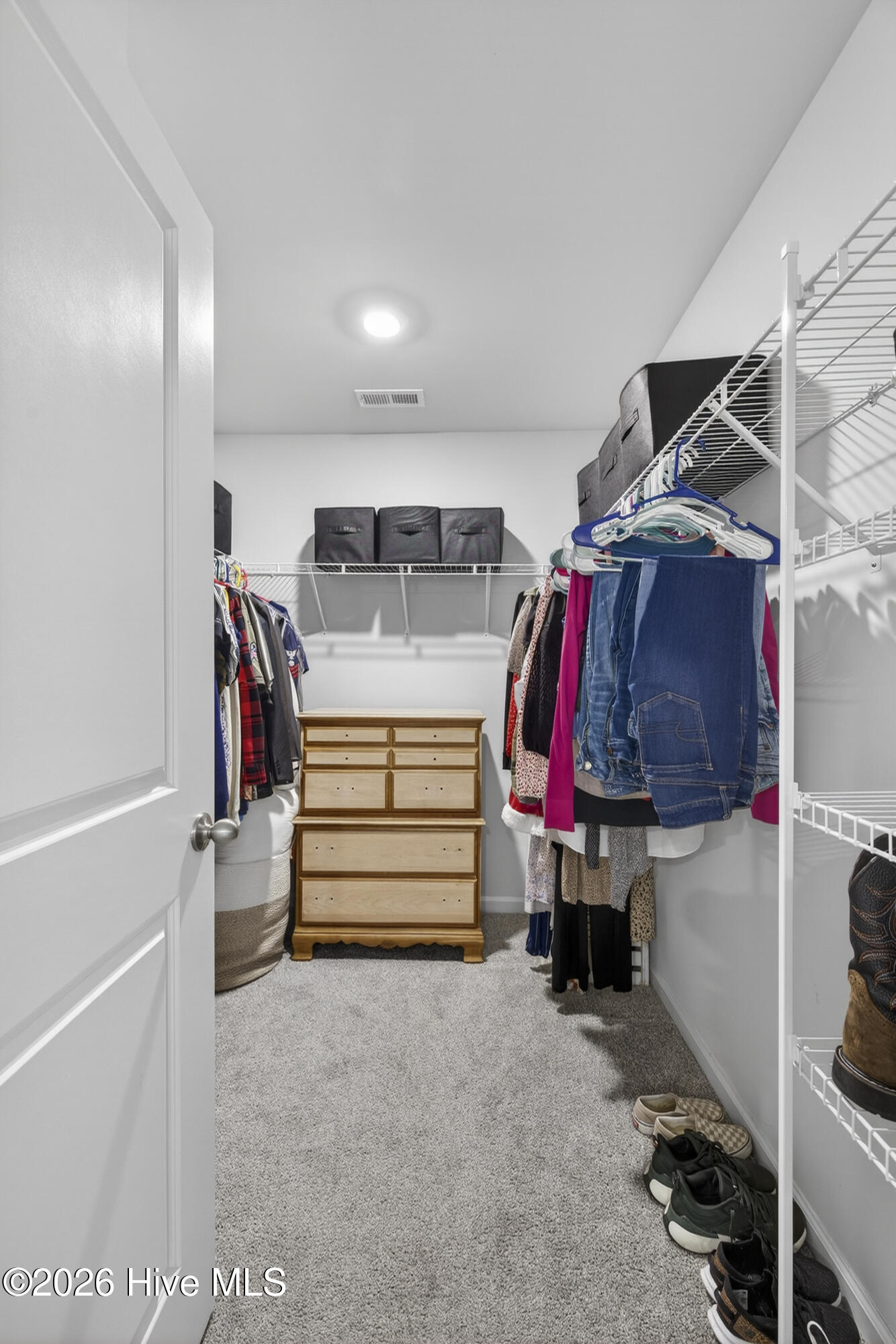 100557466 | Photo 23