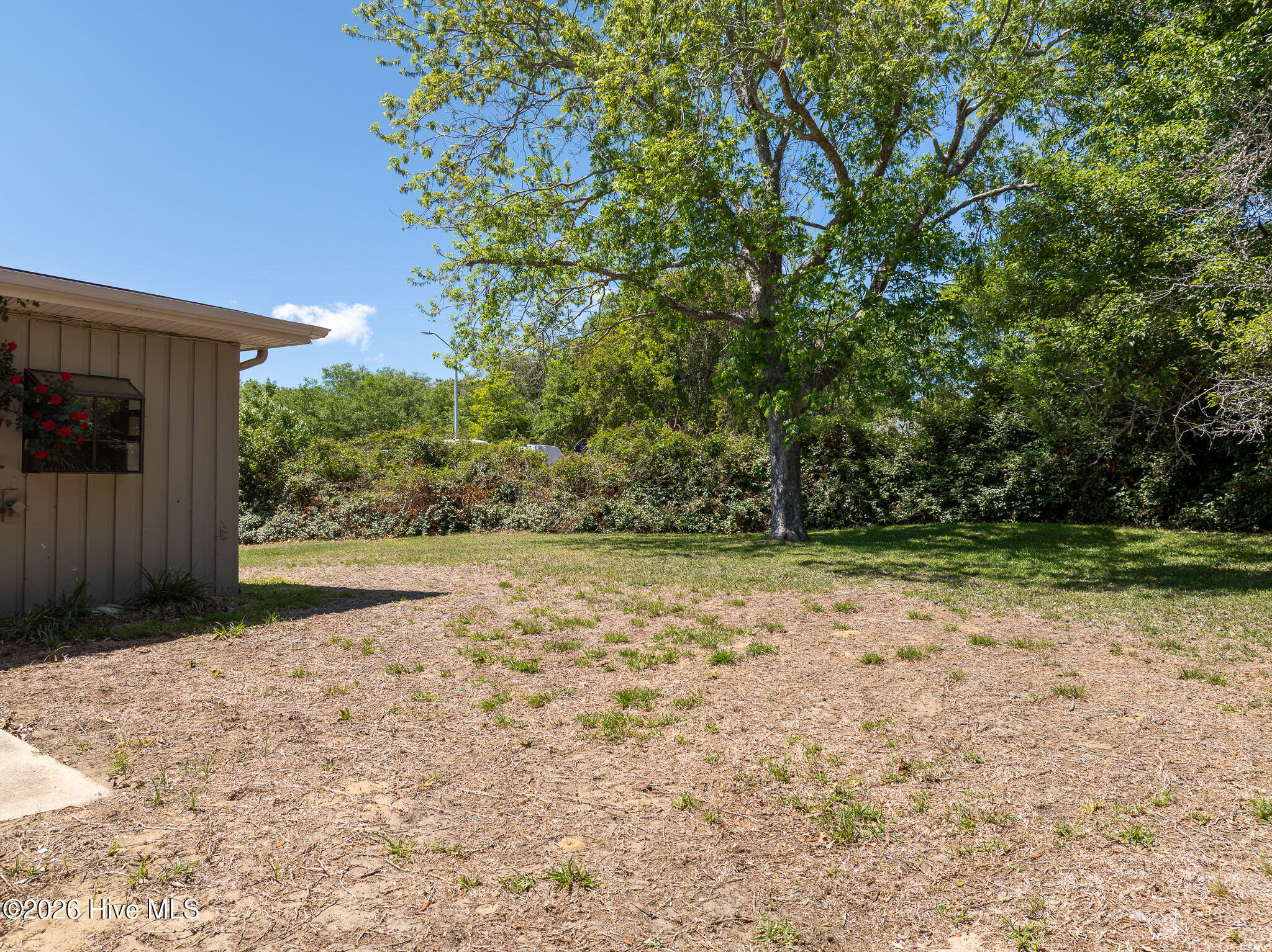 100568983 | Photo 66