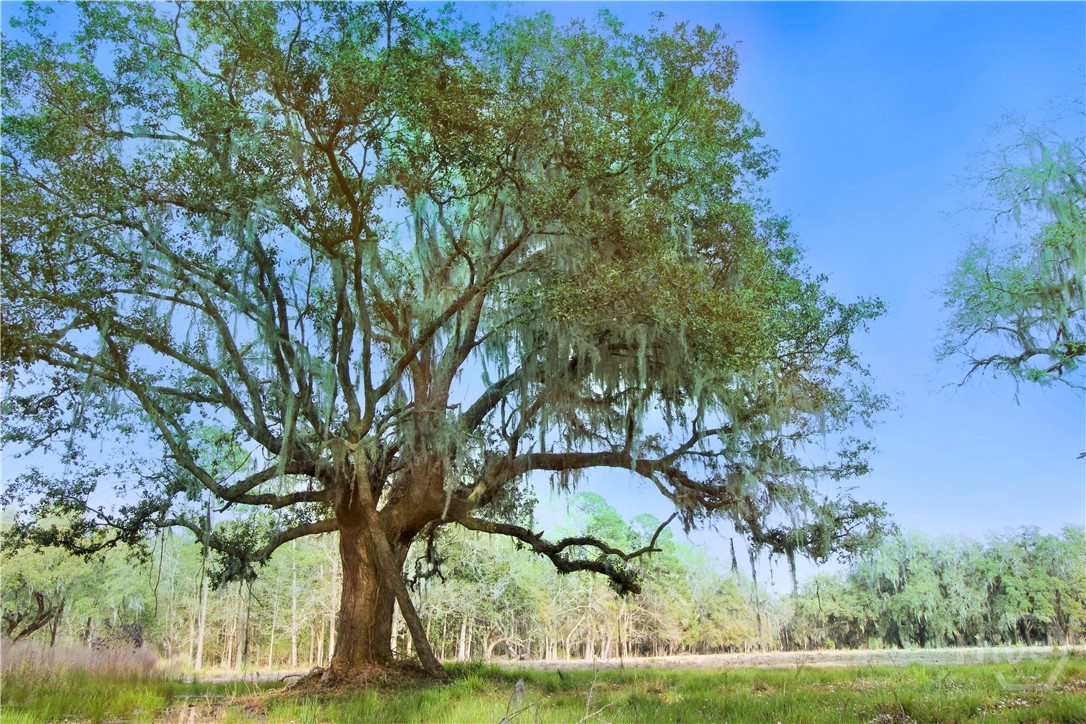 1 William's (36 lots 95 acres) Retreat, Savannah, GA, 31419