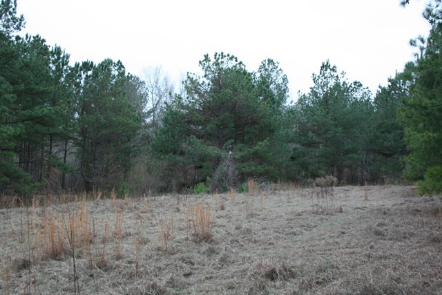00 Highway 378, Lincolnton, GA 30817 Listing Photo  4