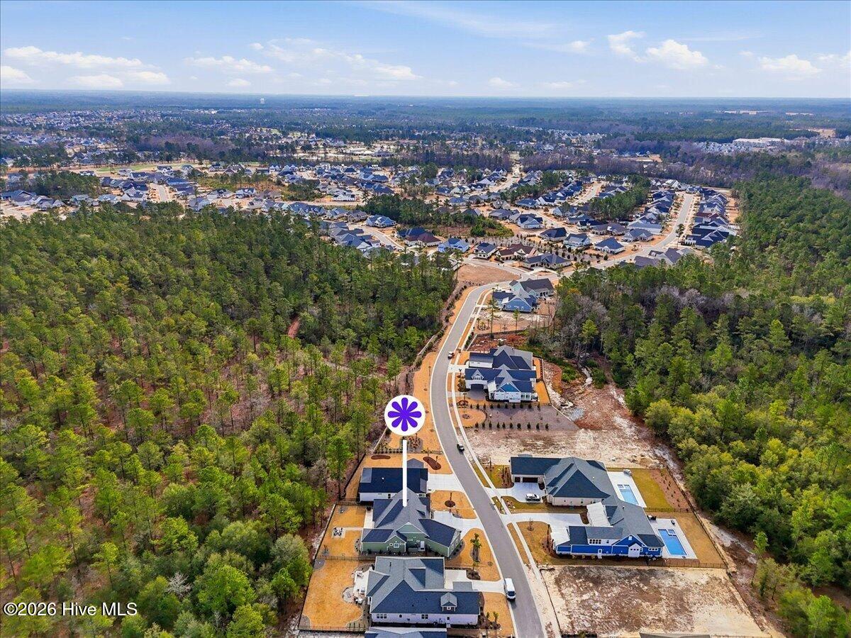 100552703 | Photo 49