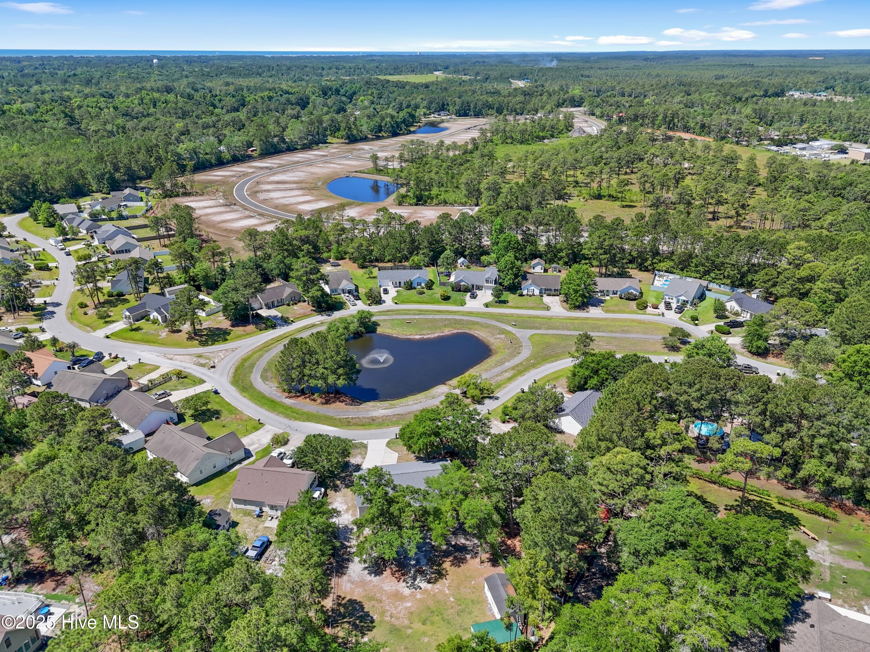 100509248 | Photo 46