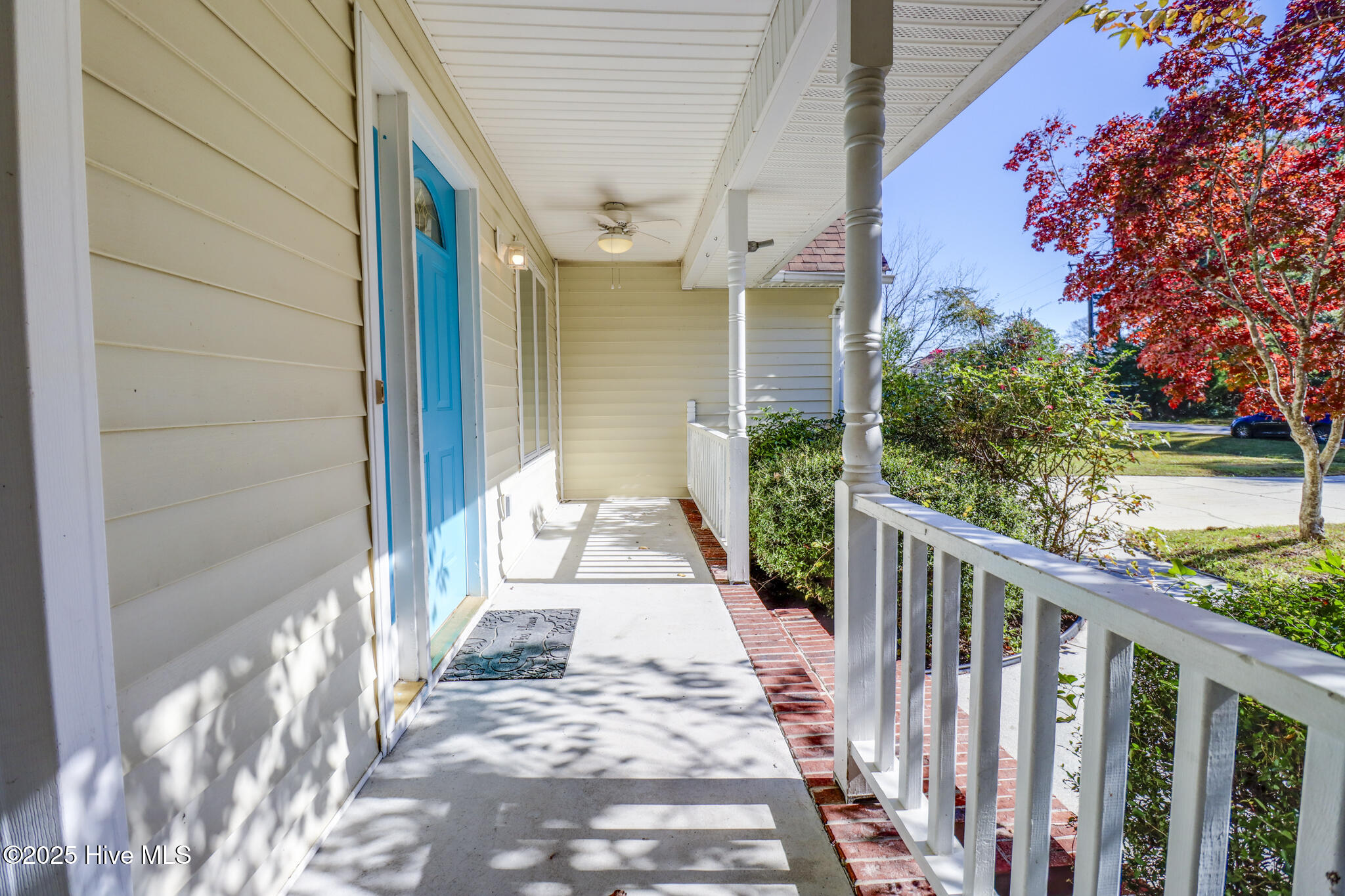 100541219 | Photo 19