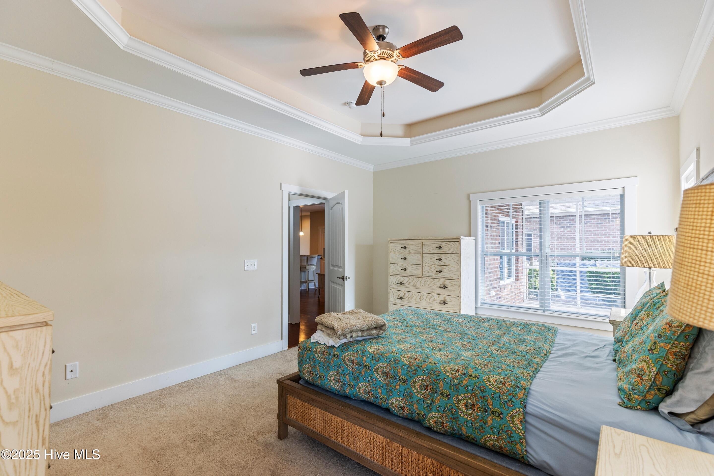 100542778 | Photo 20