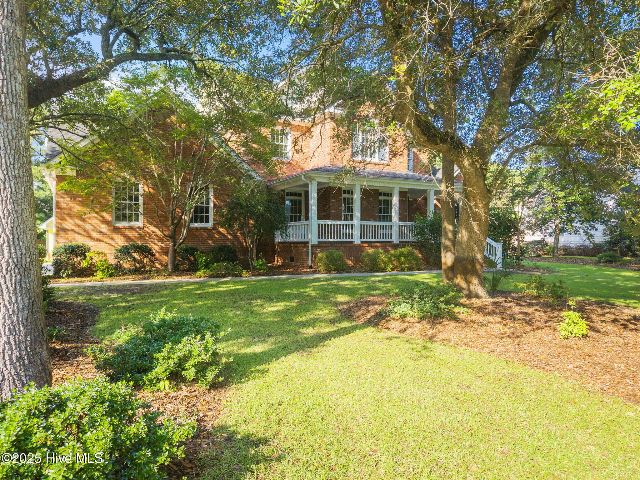 100518834 | Photo 64