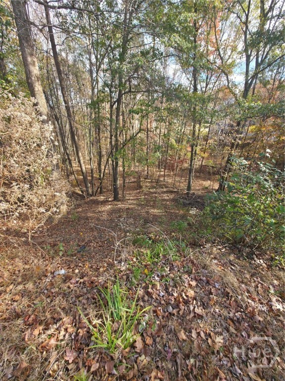 Homes for sale in Bethlehem, GA | 2412 Snowshoe Bnd, Bethlehem, GA 30620 | MLS# CL343906