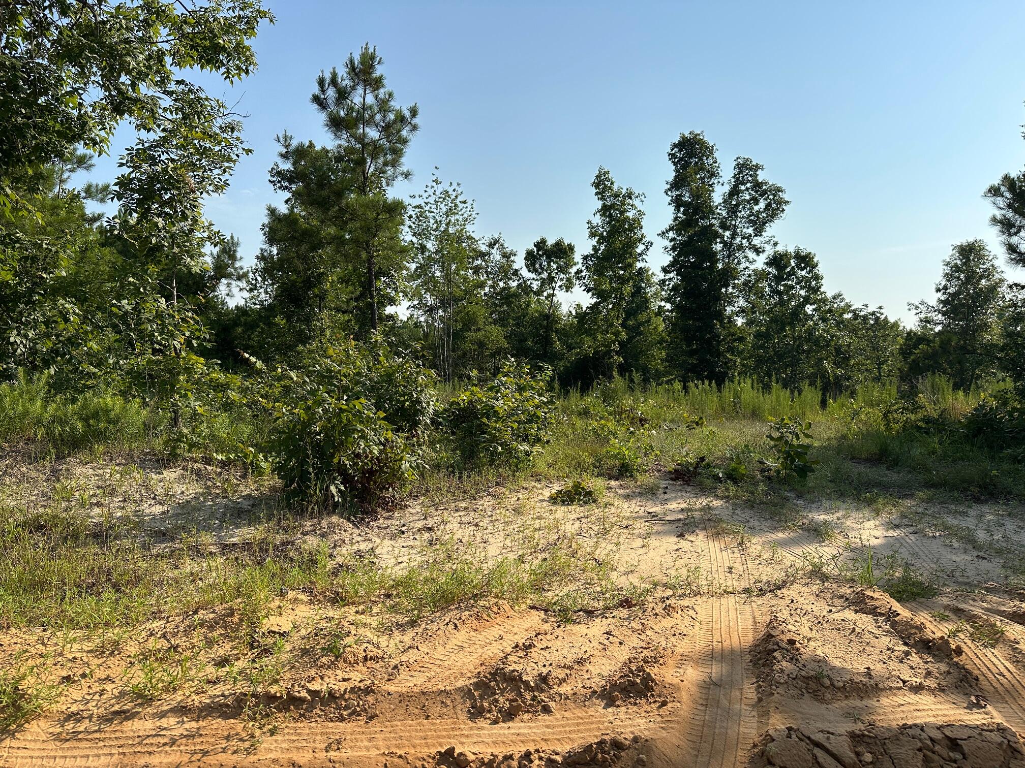 Homes for sale in Wrens, GA | 2576 Jessie James Pond Rd, Wrens, GA 30833 | MLS# 545367