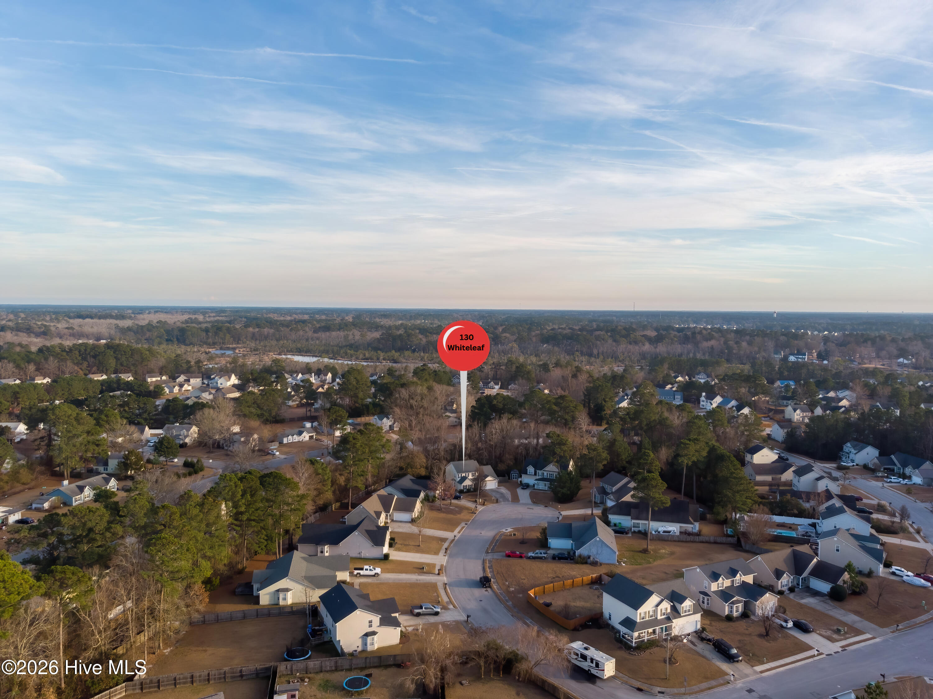 100536665 | Photo 36