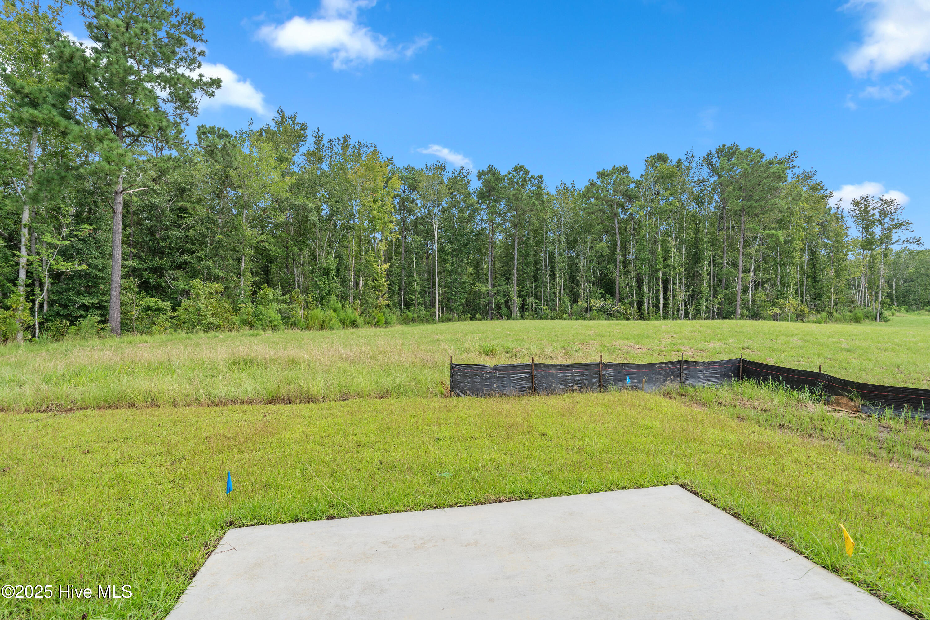 100526772 | Photo 28