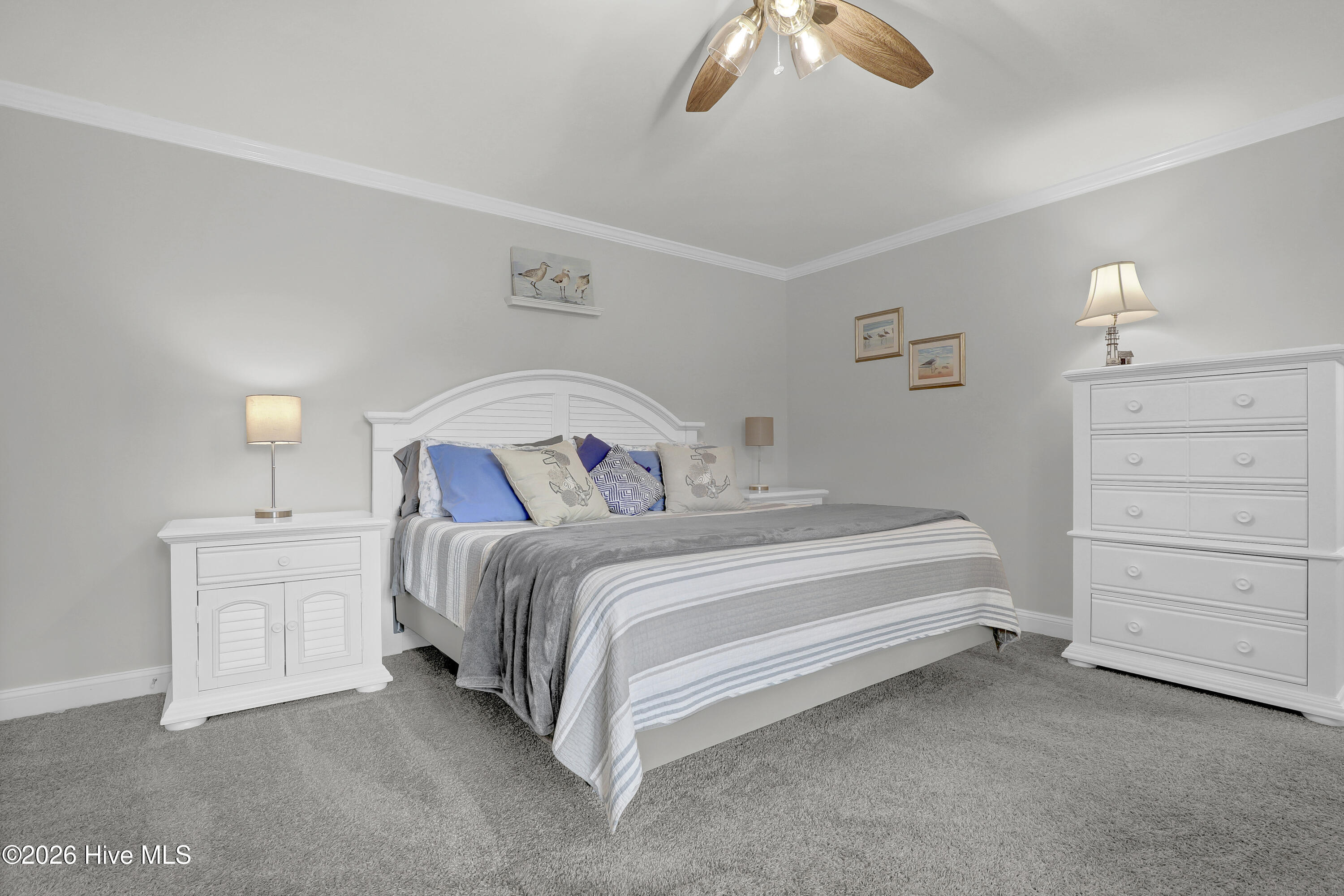 100563243 | Photo 20