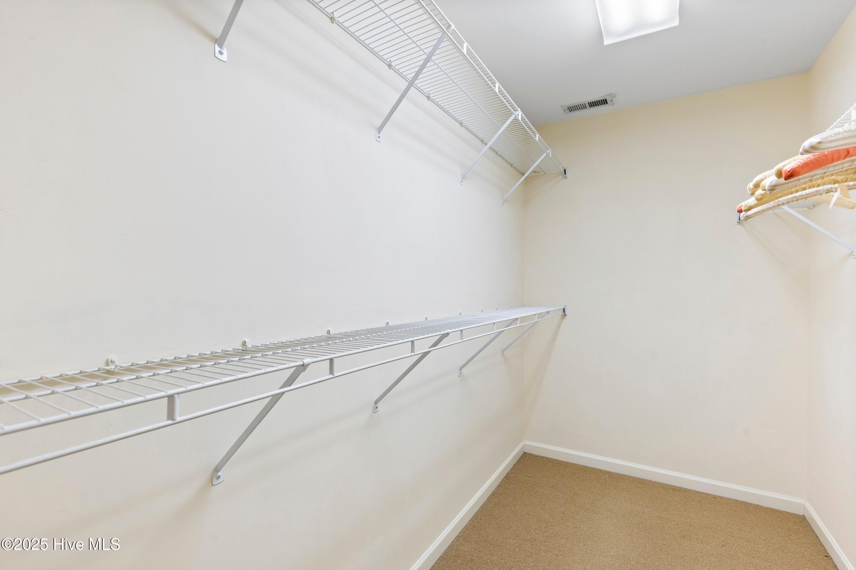 100528797 | Photo 29