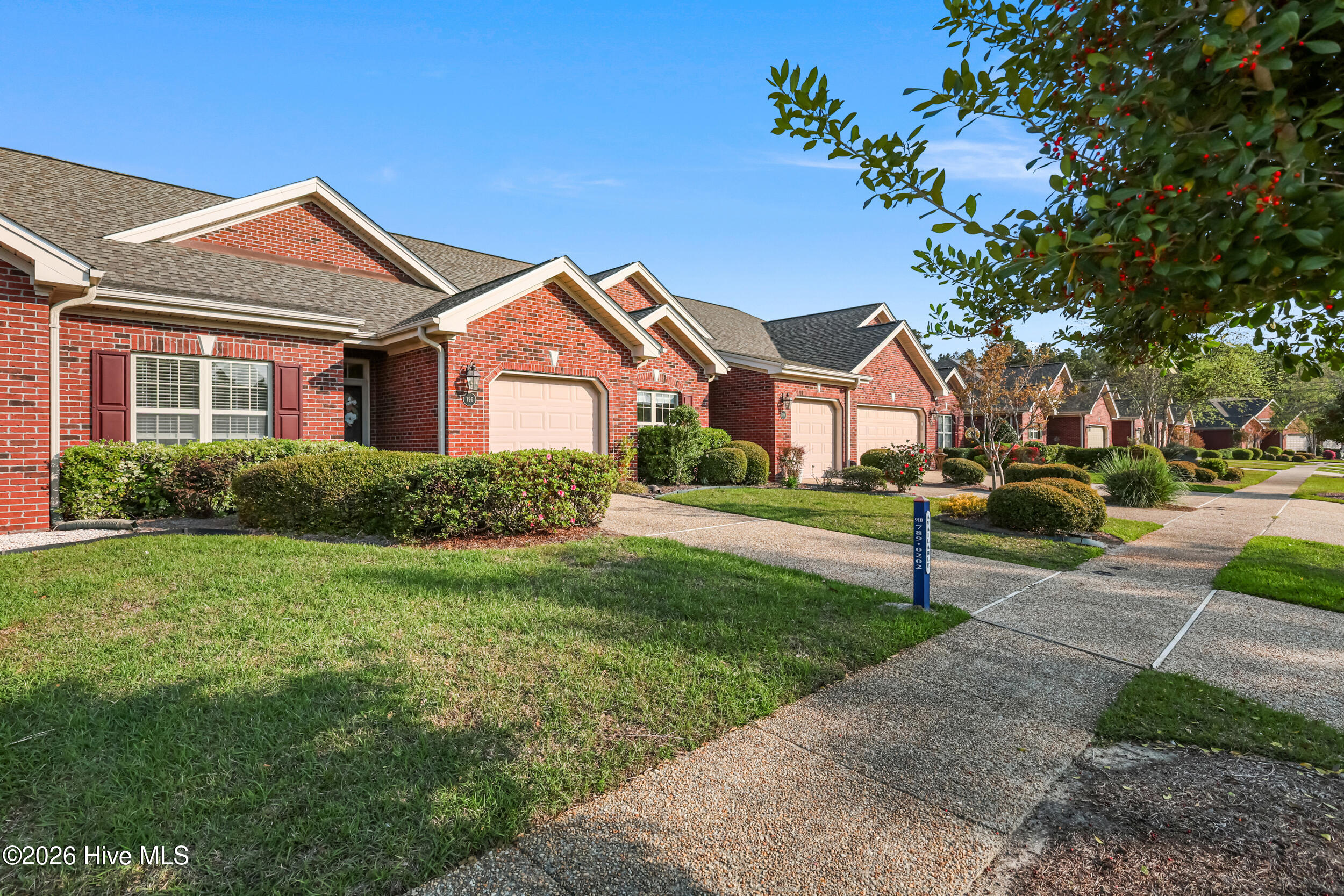 100552325 | Photo 17