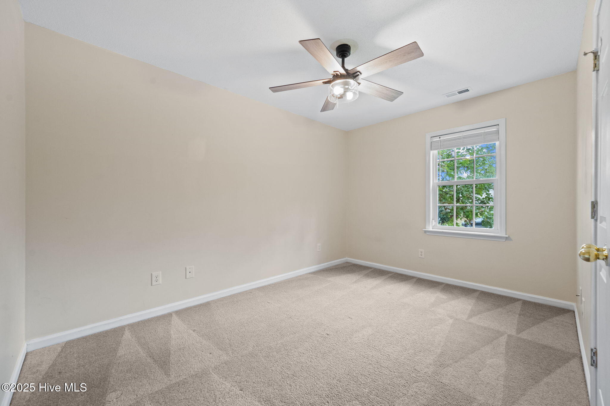 100565429 | Photo 20