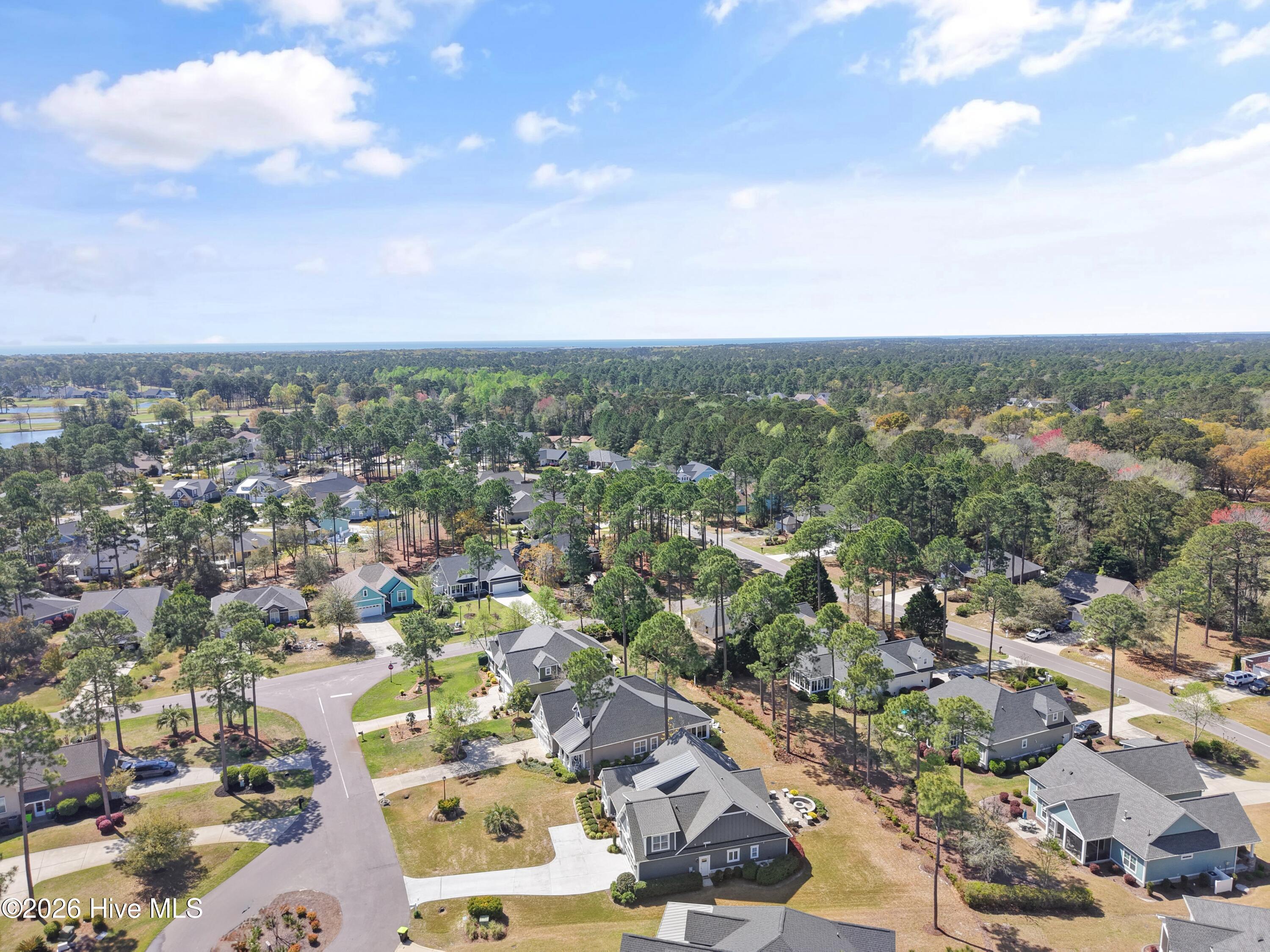 100564386 | Photo 71